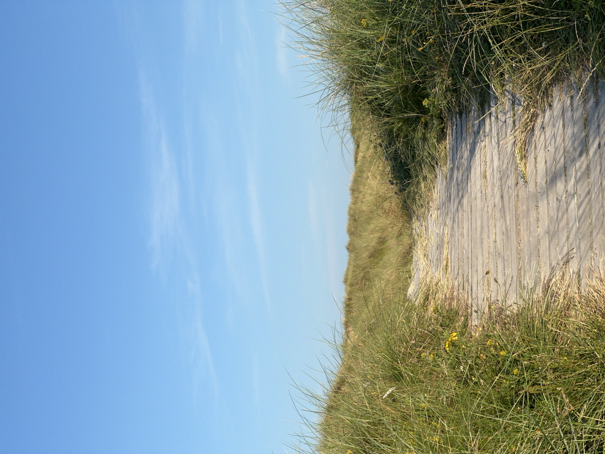 A weathered wooden boardwalk leads through a grassy dune landscape under a clear blue sky. Tall, wispy green grass lines both sides of the boardwalk, with scattered yellow wildflowers visible amongst the foliage. The boardwalk appears to be constructed of light-colored wooden planks laid horizontally. The overall environment suggests a coastal or beach setting with natural vegetation. There are no people or animals present in the image. The location is identified as Lunniaghbeg, Ireland.