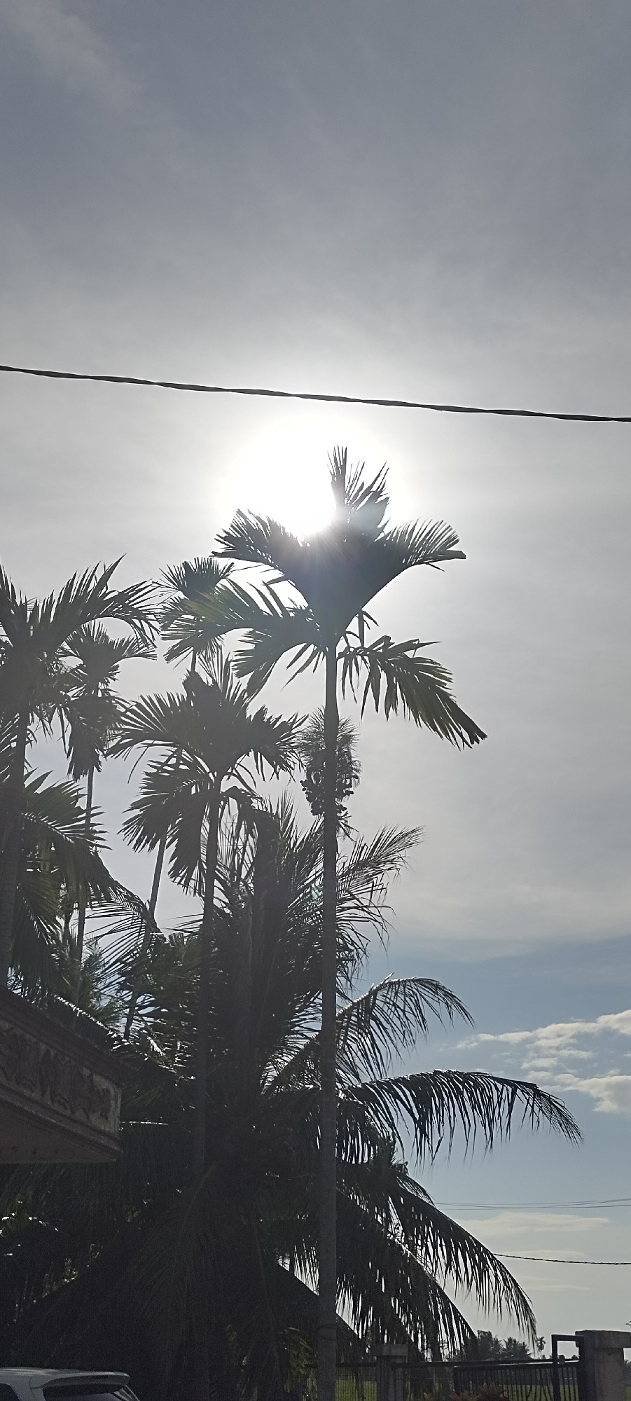 The image captures a bright, overcast day in an unspecified location within the city of Unknown, Unknown. The scene is dominated by several tall palm trees silhouetted against the intensely bright sky, where the sun's glare is partially obscured by the tree foliage. An electrical wire stretches horizontally across the upper portion of the frame. The lower portion of the image includes the partial view of a building and some distant vegetation, suggesting a residential or suburban setting.