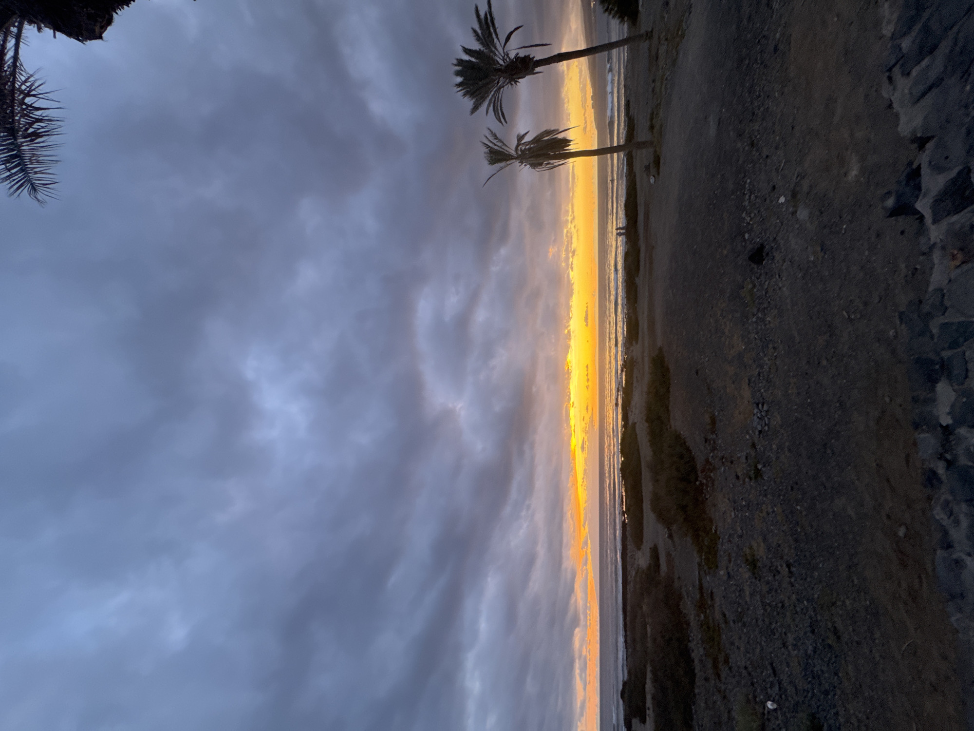 The image captures a dramatic sunset at Playa De Las Américas, Spain, with a striking contrast between the dark, cloudy sky and the vibrant band of golden light on the horizon. Two silhouetted palm trees stand against the illuminated sky, their fronds reaching upwards. The foreground is a dark, pebbly beach with some scattered debris. The ocean is visible as a thin, bright line where it meets the land, reflecting the intense colors of the sunset. The overall mood is serene and awe-inspiring, highlighting the natural beauty of a coastal sunset. The time of day is clearly sunset, and the weather appears to be partly cloudy, adding depth and texture to the sky. While no text is visible, the palm trees and the coastal setting strongly suggest a tropical or subtropical location.