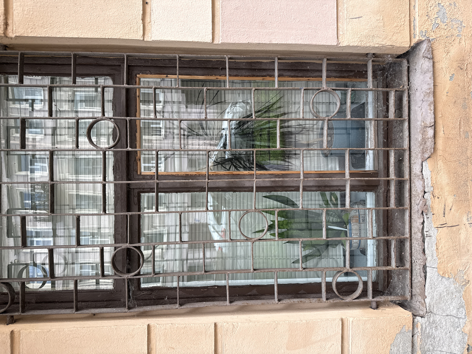 A window with an ornate metal grate is set into a tan-colored building. The window has a dark brown wooden frame and is divided into several panes by a vertical and horizontal grid. Inside the window, blinds are drawn. Two potted plants are visible: one on the left with broad green leaves and another on the right with long, thin green leaves. The reflection in the window shows a building with many windows. The metal grate has a grid pattern with several circular embellishments. The building facade is textured, with peeling paint visible at the bottom of the image. The scene appears to be an exterior view of a building, likely in Saint Petersburg, Russia, given the architectural style and the context.