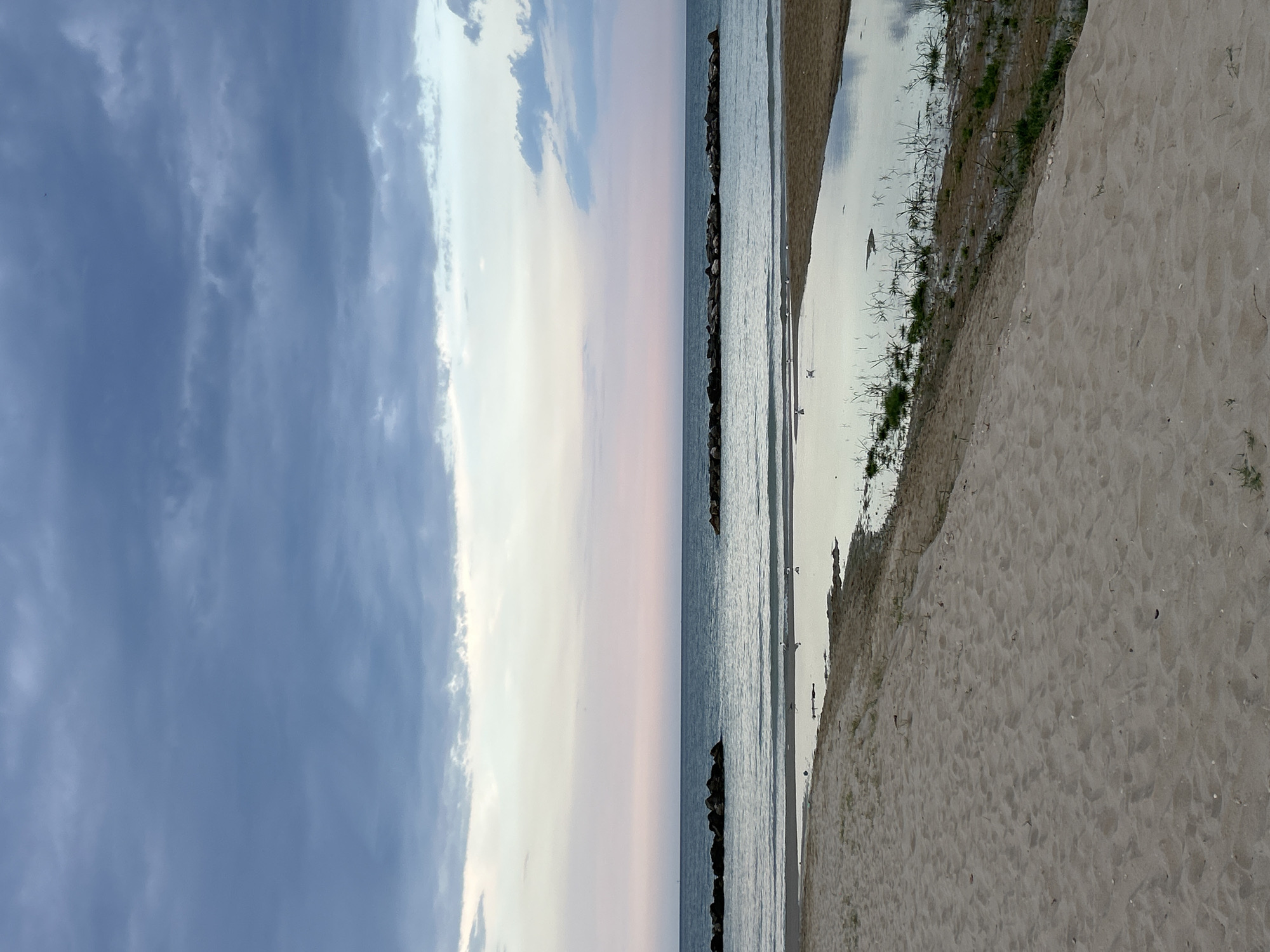 This is a landscape photograph of a beach at Cupra Marittima, Italy. The image is oriented vertically.
The scene depicts a serene beach with sand in the foreground, transitioning to the sea and then the sky. The sand is light brown and appears to be a gentle slope leading down to the water. Small patches of green grass and reeds are visible at the edge of the sand, where it meets the shallow water.
The sea is calm, with gentle waves lapping at the shore. A breakwater made of large rocks extends into the water, forming a barrier. The water reflects the muted colors of the sky.
The sky is a prominent feature, with a dramatic display of clouds. On the left side, darker, heavier clouds are present, giving way to softer, lighter clouds in the center and right, tinged with shades of pink and pale blue, suggesting either dawn or dusk.
There are no people visible in the frame. A few birds are present, some in flight and others standing near the water's edge.
The time of day is likely either early morning or late evening due to the soft, diffused light and the colors in the sky. The weather appears calm and mild.
There is no visible text in the image. The overall mood of the image is peaceful and tranquil.