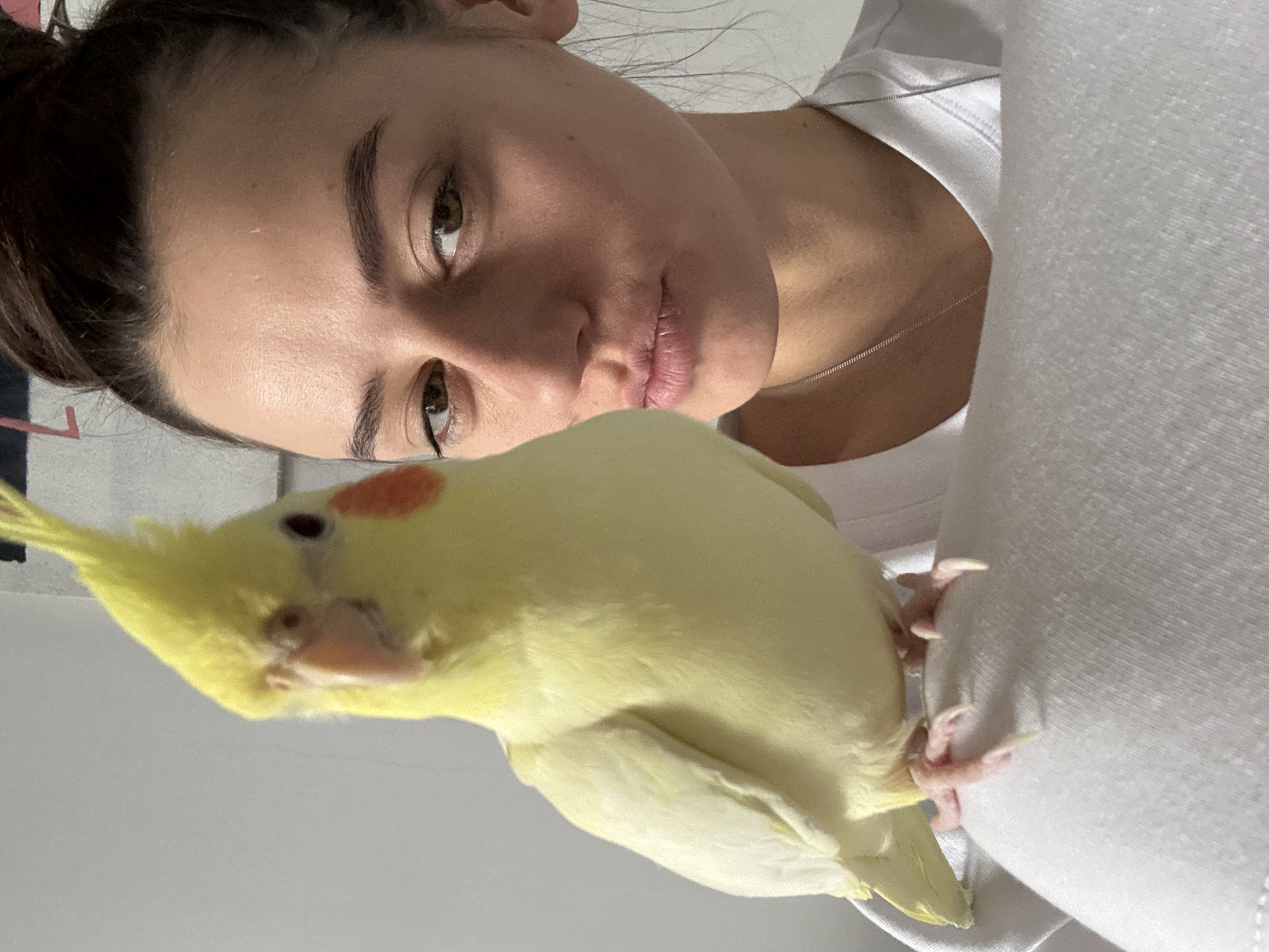 A woman and a yellow cockatiel are depicted in a close-up selfie. The woman has brown hair pulled back in a bun, light skin, and is wearing a white t-shirt. Her face is in focus, and she is looking at the camera. The cockatiel is perched on her shoulder. The background is out of focus and indistinct, showing parts of a white wall and possibly fabric. There is no information indicating a connection to Krasnoyarsk, Russia.