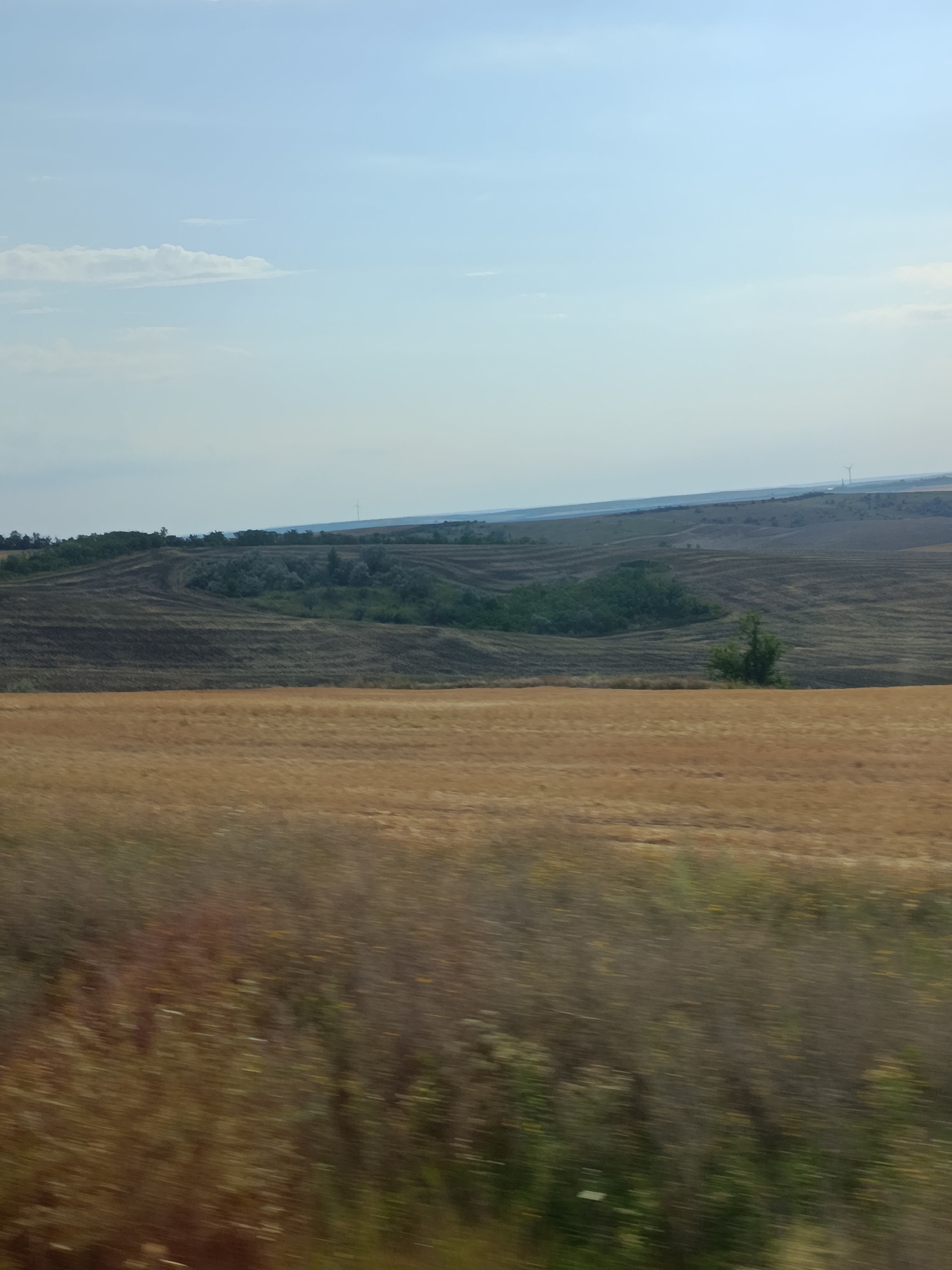 An expansive, undulating landscape unfolds under a pale blue sky with wispy clouds. The foreground is dominated by a blurred, golden-brown field, suggesting motion, possibly taken from a vehicle. Beyond this, the terrain shifts to darker, tilled fields with visible furrow patterns, interspersed with patches of lush green trees and vegetation. In the middle ground, a small, solitary green tree stands on a gentle slope. Further in the distance, rolling hills recede towards the horizon, where a faint silhouette of wind turbines can be observed. The scene is devoid of people or animals, presenting a serene and natural panorama. This appears to be a rural area, likely on the outskirts of Comrat, Moldova, characterized by agricultural land and open spaces.