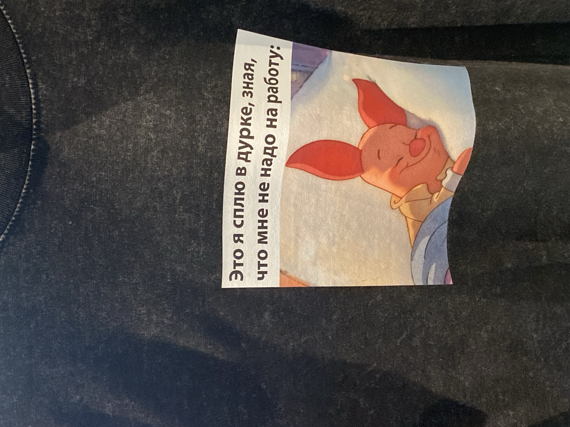The image shows a close-up of a dark, textured t-shirt with a printed graphic. The graphic features a cartoon piglet character sleeping on a pillow. Above the piglet, there is text in Russian. The t-shirt is likely a piece of clothing worn by a person. The image does not contain any identifiable landmarks or information that would place it in Saint Petersburg, Russia.