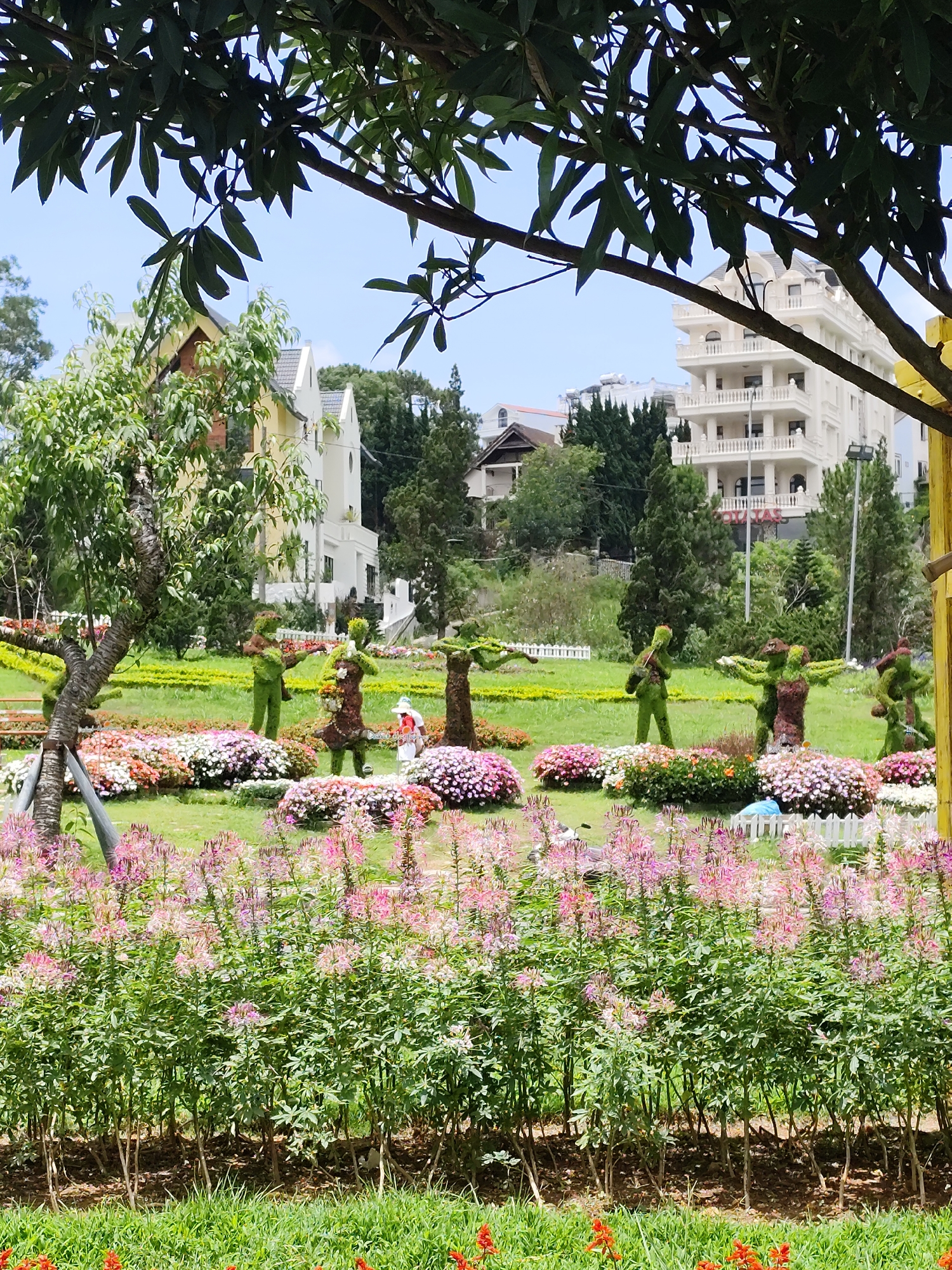 The image shows a garden in Da Lat, Vietnam. The foreground features a row of pink and purple flowers with green foliage. Behind these are sculptures made of greenery depicting people playing musical instruments. Further back, there is a grassy lawn with flowerbeds in various colors. Buildings are visible in the background, including a large white multi-story building and several smaller houses with pointed roofs. Trees and other greenery surround the buildings. A tree branch with green leaves partially obscures the top of the frame.