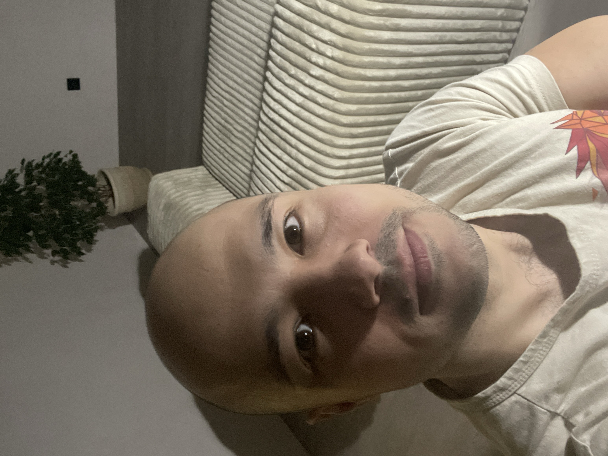 A close-up, tilted, indoor selfie of a bald man with brown eyes. He has a short, dark beard and mustache. He's wearing a light-colored t-shirt with a design on the right shoulder. He appears to be reclining against a striped, cushioned couch or sofa. In the background, to the left, is a small houseplant in a light-colored pot, placed near a wall. A small square object is affixed to the wall above the plant. There is no information in the image suggesting a connection to Izhevsk, Russia.