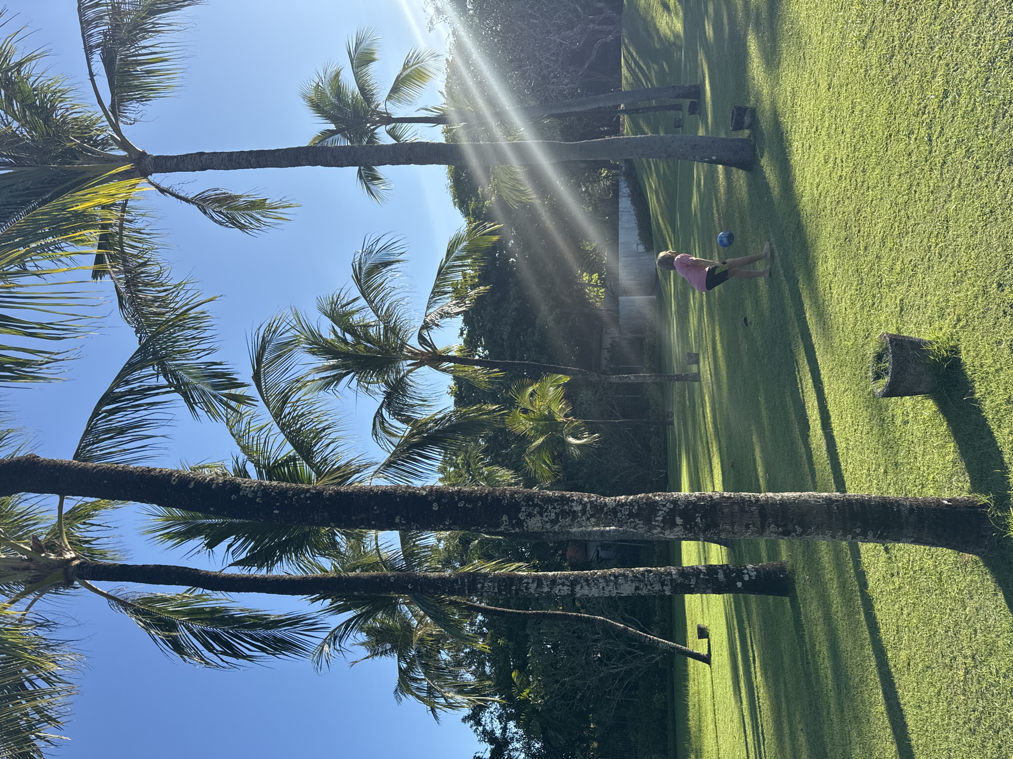 The image depicts a sunlit scene in Kuta Selatan, Indonesia, featuring a person playing with a blue ball on a grassy lawn lined with palm trees. The person is wearing a pink shirt and dark shorts. The lawn is uniformly green, and the shadows of the palm trees are cast across it. The palm trees are tall and slender, with visible trunks and fronds against a clear blue sky. The sun's rays are visible in the upper part of the image, creating a bright, somewhat overexposed area. The background includes a building partially obscured by trees. There is also a cut-off tree trunk in the grass.