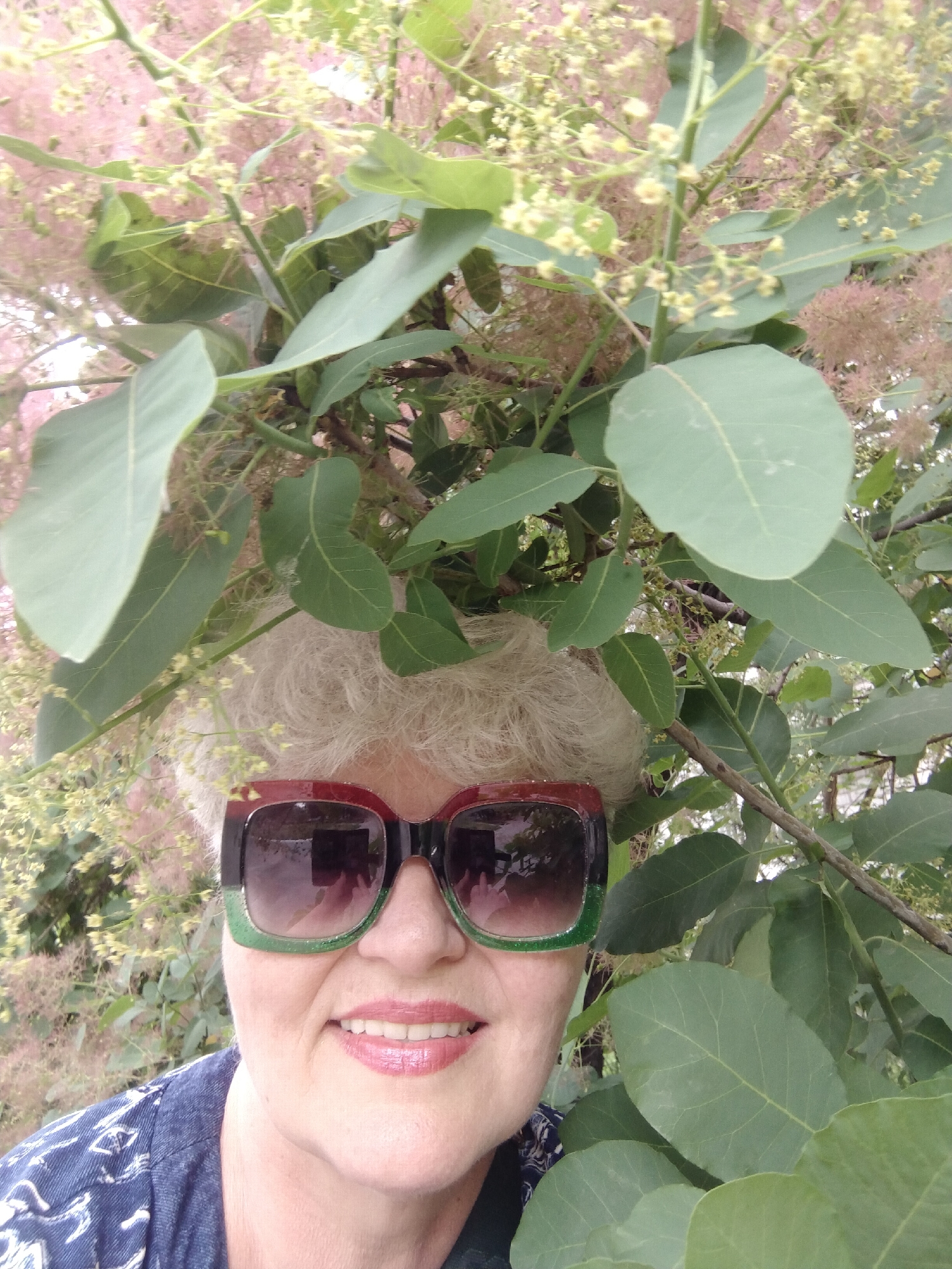 A close-up outdoor portrait features a woman with light, curly hair, smiling warmly. She wears large, square-framed sunglasses with a striking design, featuring a red-brown upper frame and a green lower frame. A blue top with a white pattern is visible on her shoulder. The woman is positioned amidst abundant foliage, characterized by large, oval-shaped green leaves and numerous delicate, wispy clusters of pinkish-beige flowers. These floral and leaf characteristics are typical of a Smoke Tree (Cotinus coggygria). The lush greenery and floral elements surround her head, with some leaves partially obscuring parts of her face and hair. The setting suggests a bright, pleasant daytime environment. Her clear smile conveys an emotion of happiness or contentment. No text is visible in the image. This scene takes place in Horishni Plavni, Ukraine.