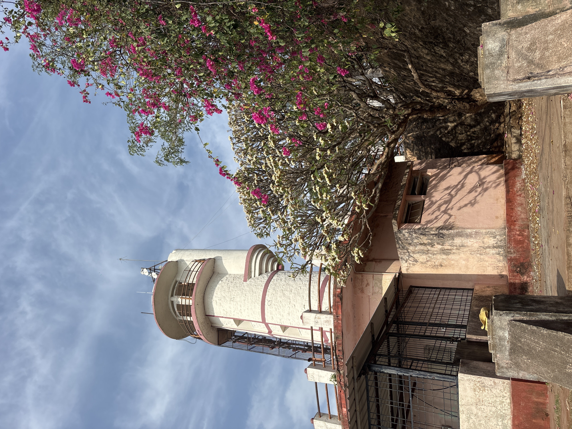 The image depicts a white and pink water tower located in Hosapete, India. The tower is partially obscured by lush trees bearing pink and white blossoms. The sky is visible in the background, with wispy clouds. A building with windows and a barred gate is visible adjacent to the tower. Steps ascend near the gate, alongside a concrete structure.