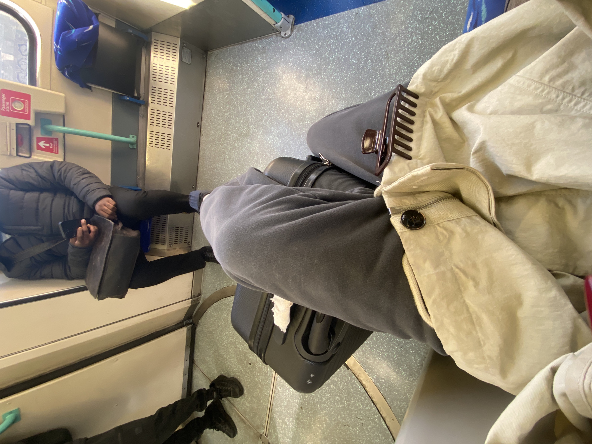 The image captures an interior view of a train carriage, likely within London, United Kingdom. The perspective is from a seated individual, partially visible on the right, wearing dark grey sweatpants and a light-colored (beige or off-white) jacket, to which a brown hair claw clip is attached. A black suitcase rests on the floor between the viewer and another passenger.
On the left side of the carriage, another passenger is seated, wearing a dark puffer jacket and dark trousers, and is holding a smartphone in their hands. Above them, near a window, a blue patterned bag or piece of clothing is visible.
The train interior features light-colored walls, a light grey speckled floor, and a light blue horizontal grab bar affixed to the wall. Ventilation grates are also visible on the wall panel.
A red rectangular panel on the wall clearly displays the text "Passenger alarm." Below this, there's another red indicator with an arrow and the word "Push," indicating an emergency or assistance button.
The scene depicts people commuting or traveling by train during what appears to be daytime. No specific emotions are discernible, with both visible individuals appearing calm or engaged with their devices.