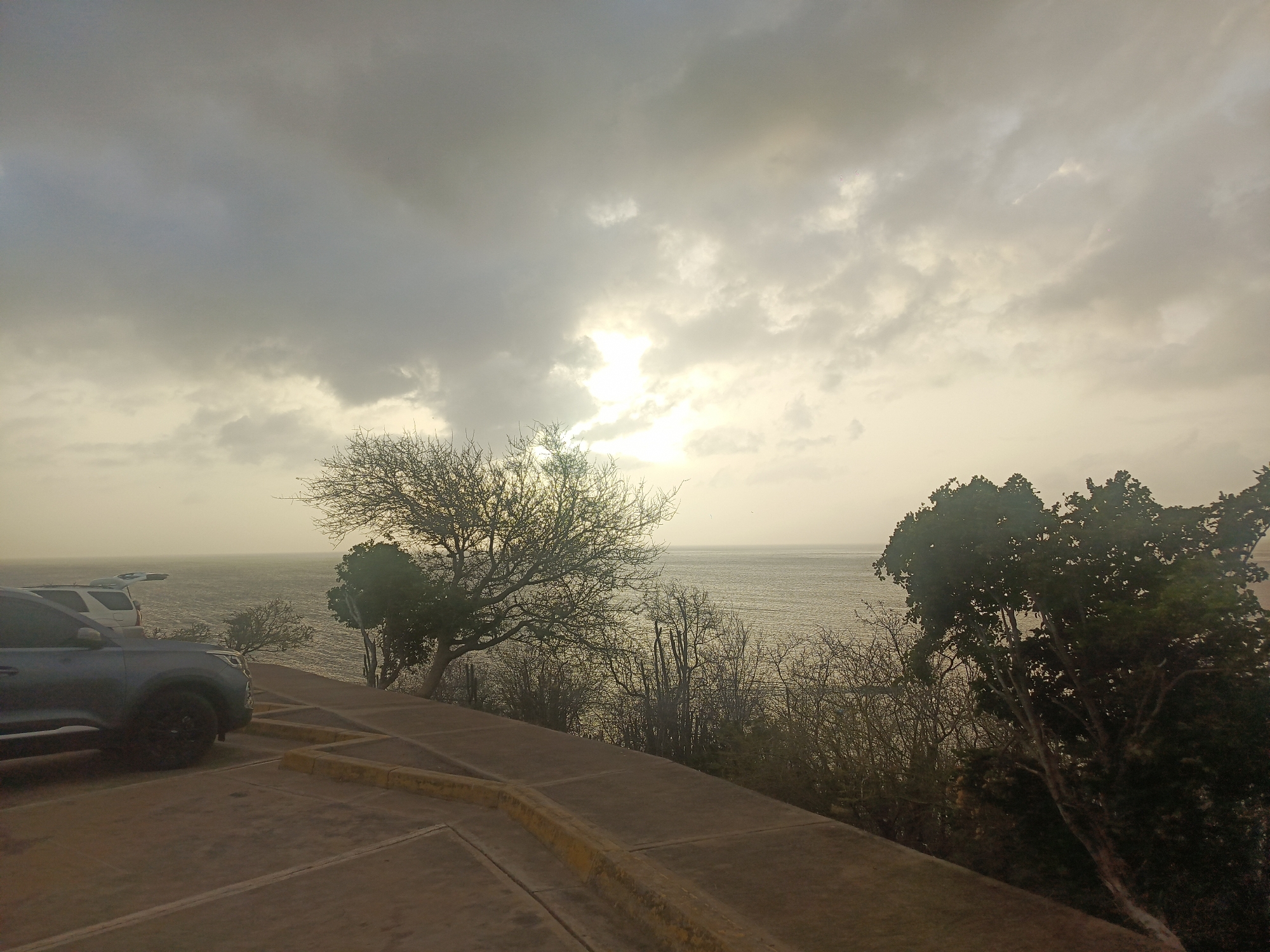 This outdoor, wide-angle shot captures a scenic coastal view, likely during sunrise or sunset, from an elevated paved area overlooking the sea in Juan Griego, Venezuela. The sky is dominated by thick, grey clouds, but a brilliant sun penetrates the center, casting a strong, warm light that brightens the clouds and creates a shimmering effect on the water. The large body of water, presumably the Caribbean Sea, appears calm with gentle ripples, reflecting the bright sky.
In the foreground, a paved parking area or viewpoint is visible, featuring yellow curb markings. On the far left, a dark grey SUV is partially visible, parked. Behind it, a lighter-colored vehicle is also partially seen, with its rear hatch open towards the ocean.
Along the edge of the elevated area, various vegetation frames the scene. A prominent, bare-branched tree stands silhouetted against the bright sun in the middle of the frame. To its right, the slope leading down to the water is covered with sparse bushes and several tall, columnar, cacti-like plants. On the far right, a large, leafy green tree with a sturdy trunk adds a darker element to the composition. The overall scene conveys a tranquil, overcast coastal moment. No visible text is present in the image.