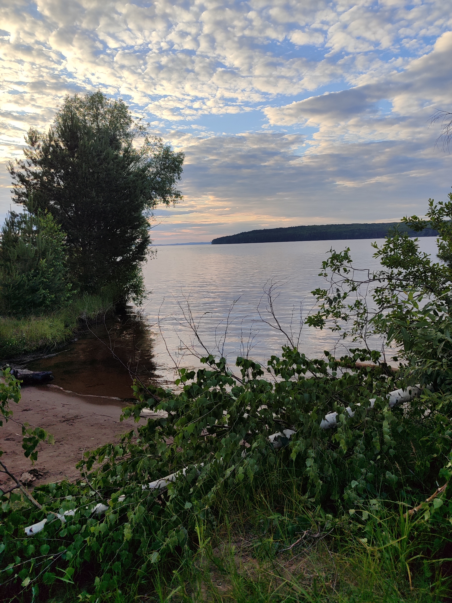 The image depicts a serene natural landscape, likely on the Kama River embankment in Chaikovsky, Russia. The foreground is dominated by lush green foliage and branches, with a fallen white birch log lying amongst them. A small sandy shore is visible to the left, with calm water lapping at its edge. Further out, the vast expanse of the Kama River stretches to the horizon, bordered by a distant, tree-covered shoreline. The sky above is a canvas of dramatic clouds, illuminated by the soft light of what appears to be either sunrise or sunset. The overall impression is one of tranquility and natural beauty.