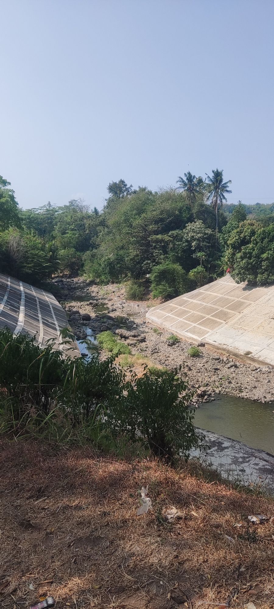 The image depicts a concrete canal with a dry, rocky riverbed leading into a narrow channel of water. Lush green trees and vegetation line the sides of the canal and extend into the background, with several palm trees visible amongst them. The sky is clear and blue. The foreground shows dry, brown grass and some scattered litter. The scene appears to be a man-made drainage or water management system within a natural, vegetated environment. There are no people or animals visible in the image. Based on visual cues and the provided context, this is likely a canal in Panongan, Indonesia, designed to manage water flow through a green landscape.