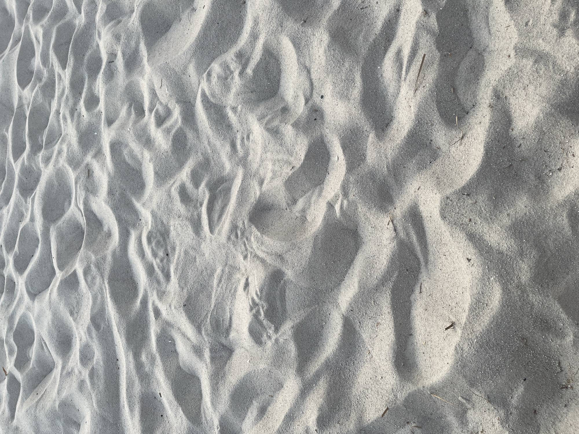 The image displays a close-up, ground-level view of sand on a beach. The sand is fine-grained and exhibits the characteristic ripple patterns formed by wind or water. Light and shadow play across the surface, highlighting the contours of the dunes and creating a textured appearance. There are a few small pieces of organic debris, such as dried grass or twigs, scattered on the sand. The overall color palette consists of various shades of light gray and white. The context of Paleo Faliro, Greece, suggests this is likely a scene from the coastline, perhaps a public beach. No people or significant objects are visible, making it an abstract representation of a natural beach environment.