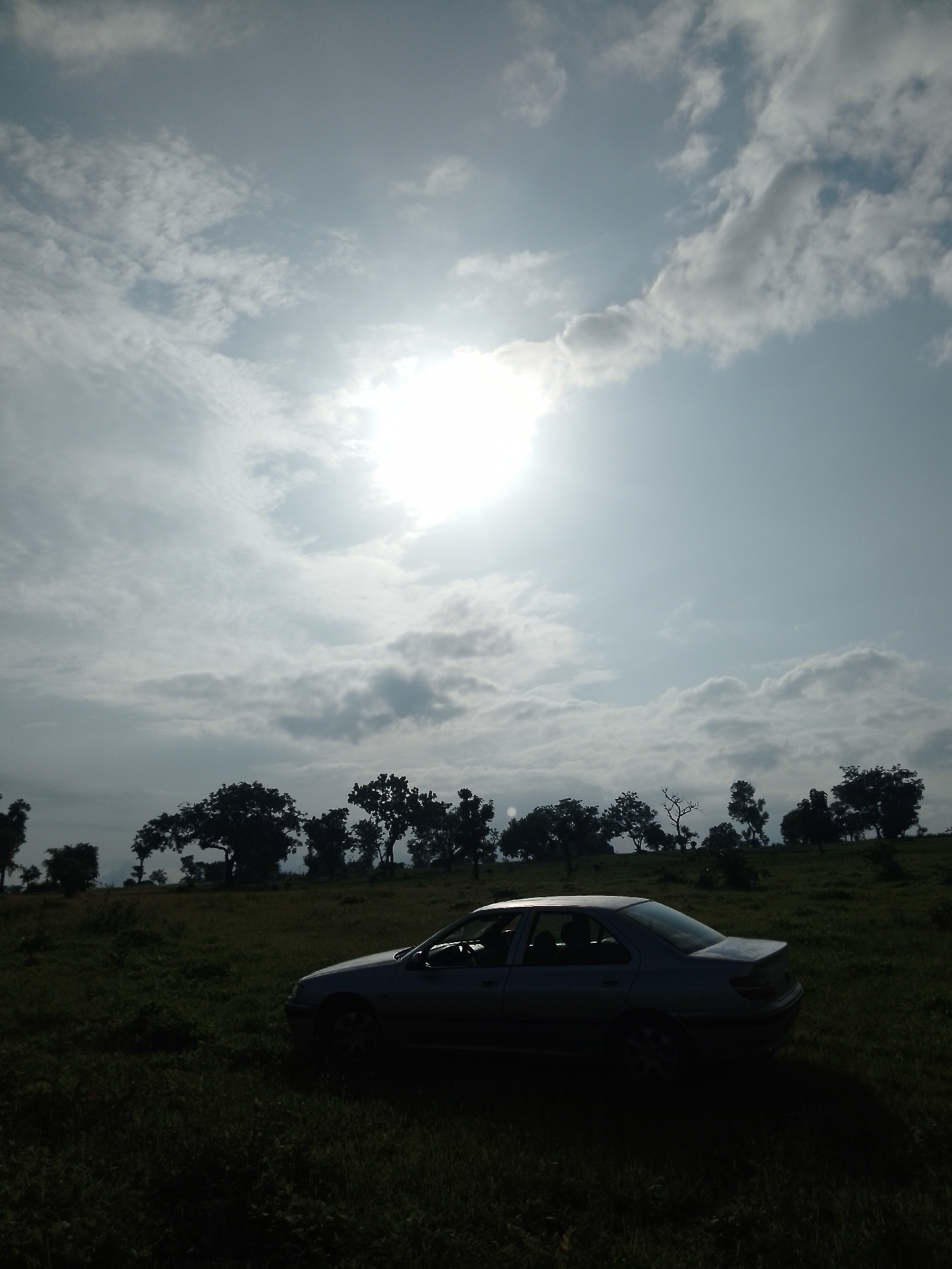 The image depicts a serene landscape under a cloudy sky with the sun shining through. In the foreground, a silver sedan is parked on a grassy field. The car is positioned at an angle, with its rear facing towards the right of the frame. The field is lush and green, with some shadows cast across it, suggesting a late afternoon or early morning setting.
In the background, a line of trees forms a silhouette against the sky. The trees are varied in shape and size, with some appearing taller and more dense than others. The sky itself is a mix of bright white clouds and patches of light blue, indicating a dynamic weather pattern. The overall atmosphere of the image is one of tranquility and natural beauty. The location is described as Serti, Nigeria, a place known for its rural landscapes and agricultural activities.
