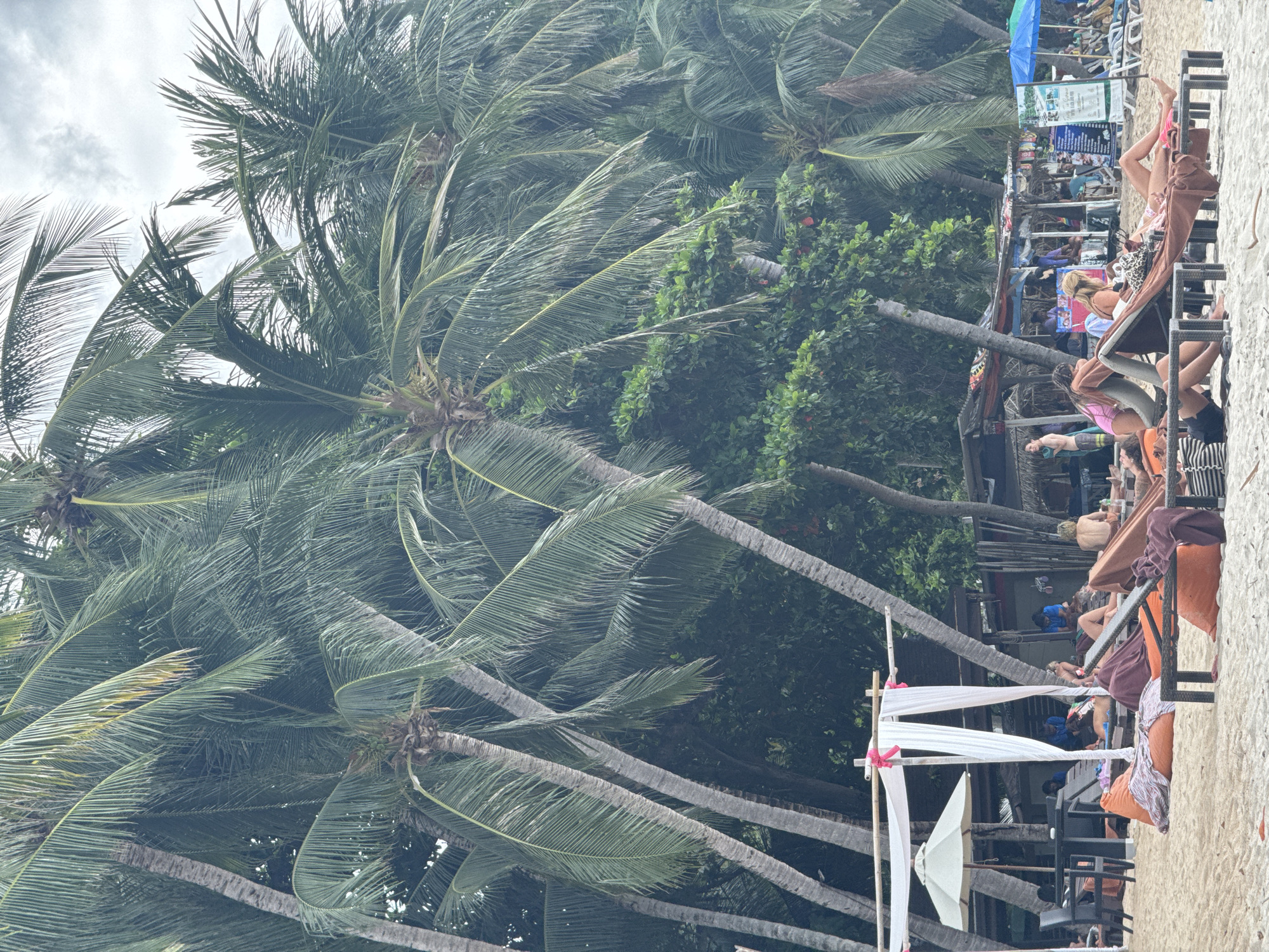 In the Ko Samui District of Thailand, a tropical beach scene unfolds beneath a canopy of lush palm trees. The foreground features a sandy beach with several lounge chairs and beanbag chairs, some occupied by individuals relaxing. A white draped canopy with pink ribbon accents creates a shaded area near a table and chairs. In the mid-ground, a series of open-air stalls and structures line the beach, with people visible inside and in front of them. A blue umbrella stands in the background. The overall environment suggests a resort or tourist area, with the natural beauty of the palm trees and the beach complemented by the amenities for beachgoers.