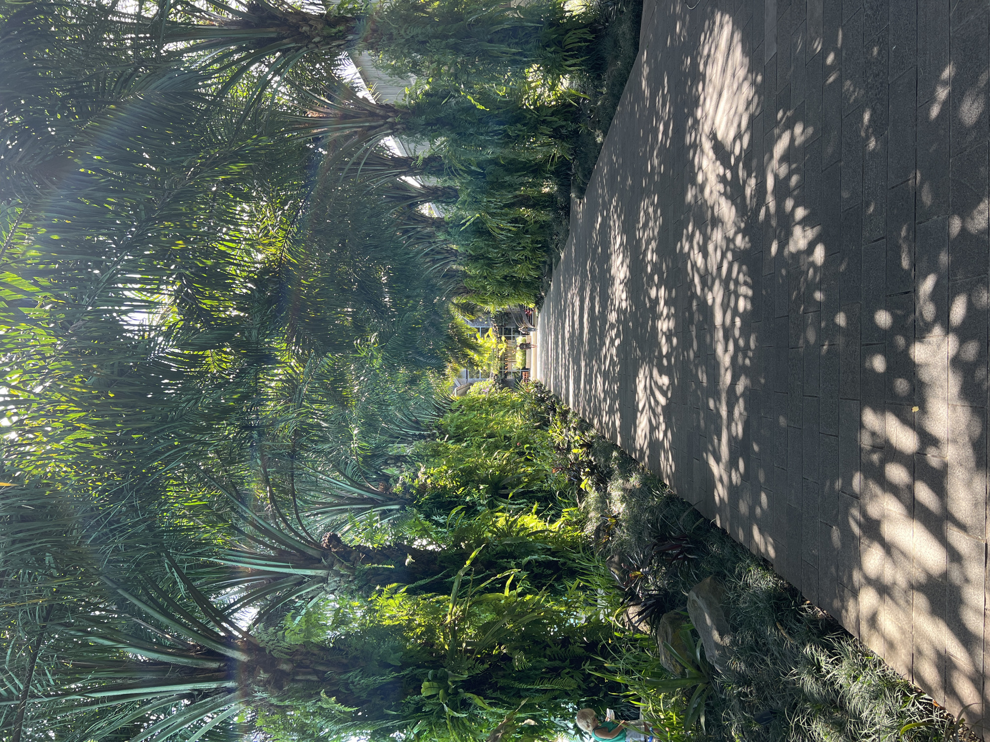 The image shows a paved walkway in Petulu, Indonesia, lined with lush tropical vegetation. Tall palm trees with dense, green fronds arch over the path, casting dappled shadows across the gray-toned brick walkway. A variety of ferns and other plants grow alongside the path, creating a layered, verdant environment. The perspective suggests a receding view down the pathway towards a blurred background.