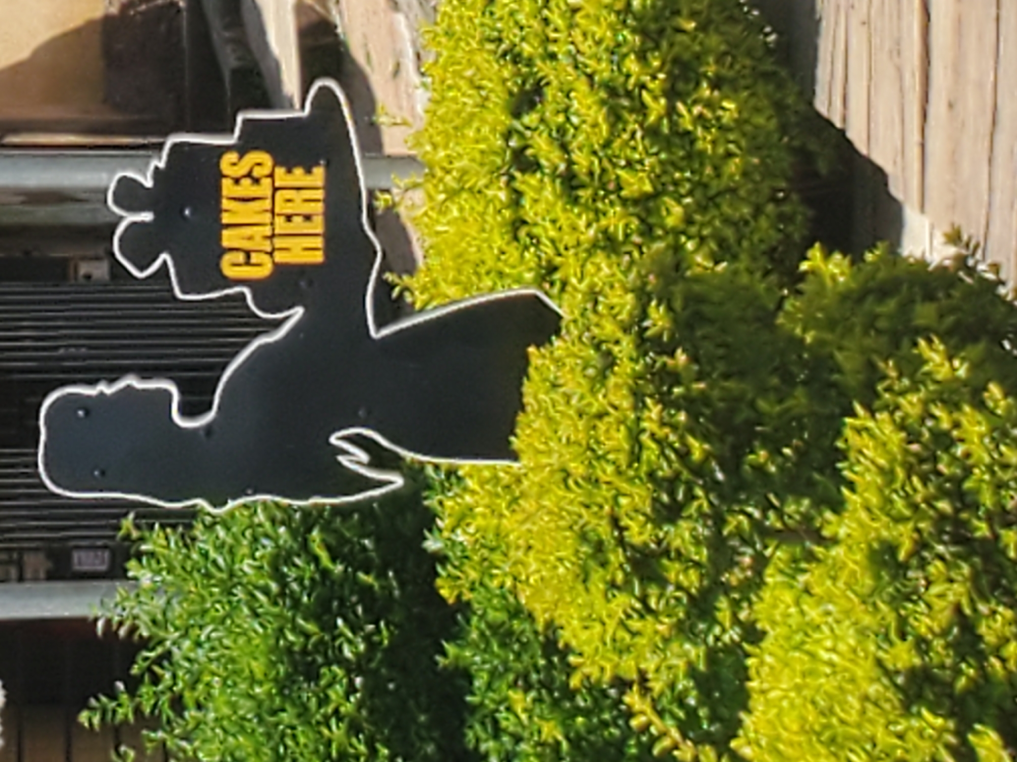 A black silhouette sign in the shape of a woman holding a cake reads "CAKES HERE" in yellow lettering. The sign is in front of lush green bushes. The background shows a building with a metal fence. The image was taken in Bukuru, Nigeria.