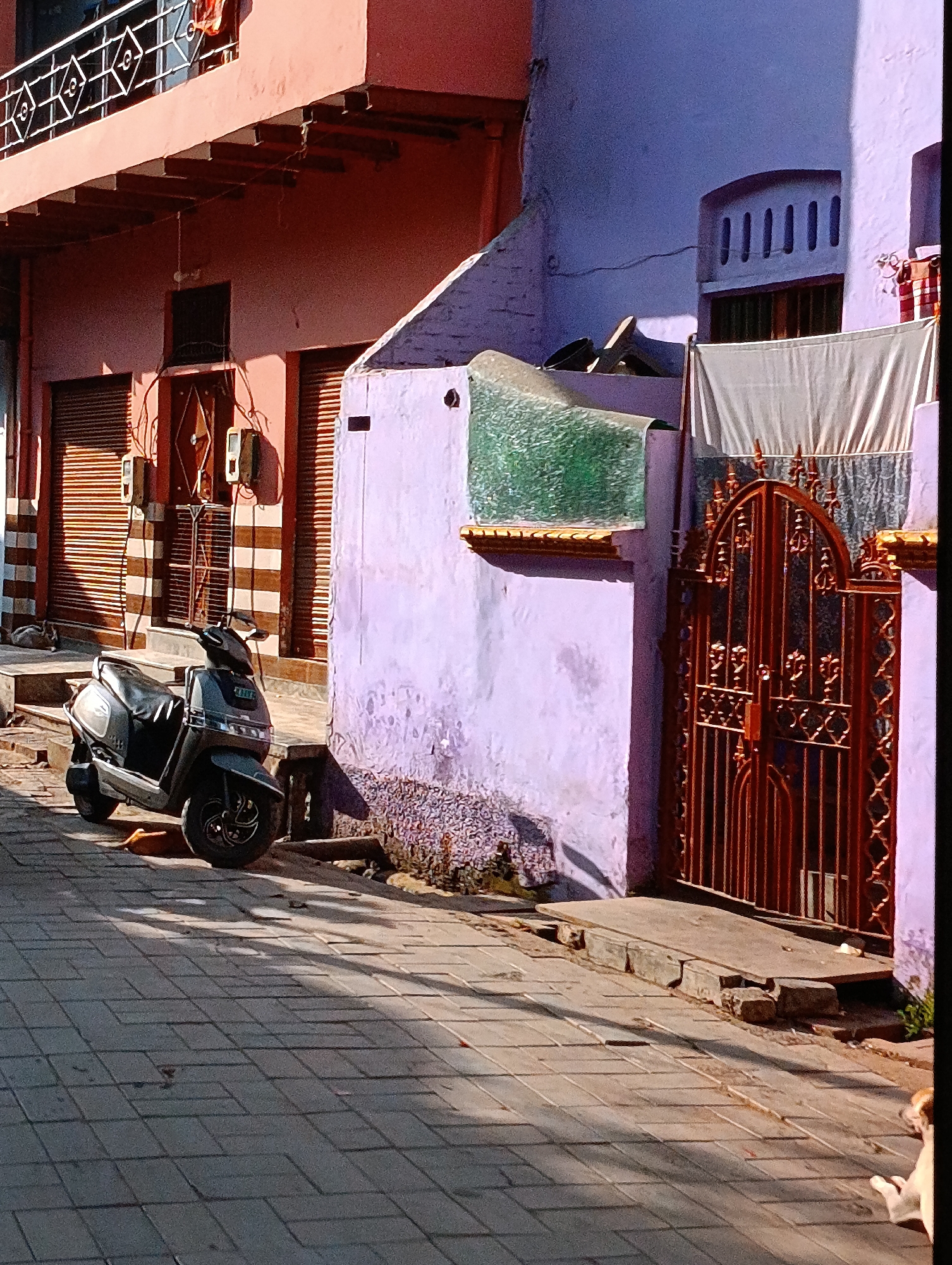The image depicts a street scene in an urban setting. A grey scooter is parked on a brick-paved street alongside buildings with facades in hues of pink and purple. The buildings have architectural details such as window coverings, ornate ironwork on a gate, and decorative railings on a balcony. Electrical meters are mounted on the wall of one of the buildings. A dog is partly visible in the lower right corner of the image. The overall lighting suggests the scene is bathed in sunlight.