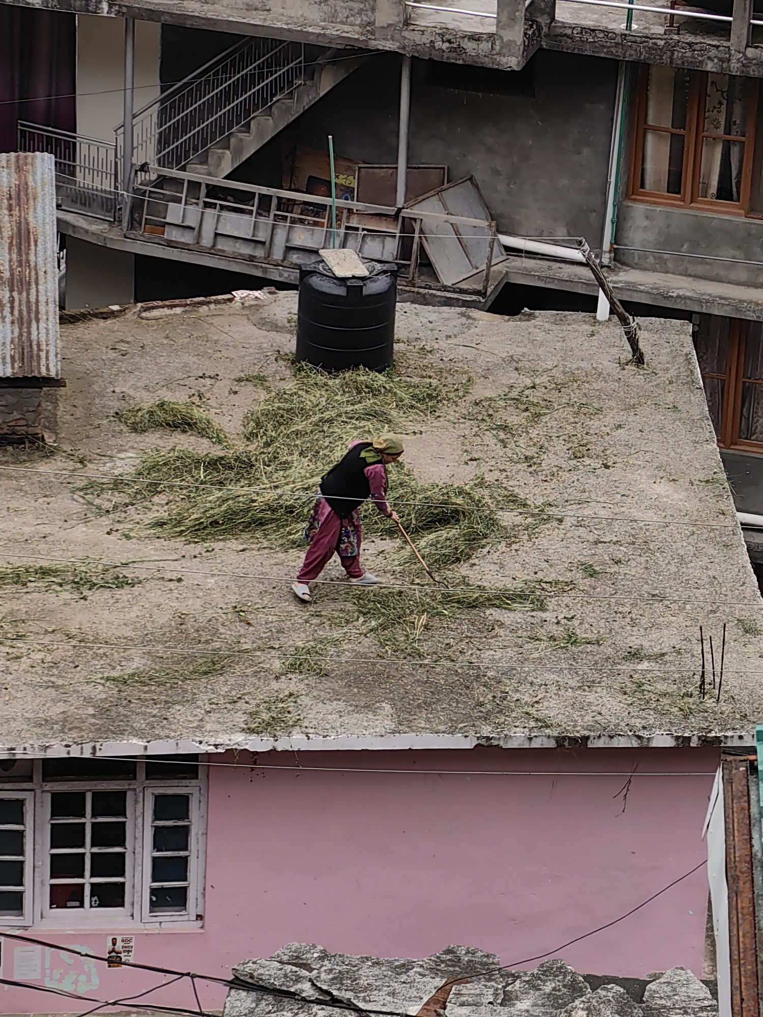 In Vashisht, India, on a rooftop, a person wearing a head covering and a pink outfit with a black vest is raking dried grass. The rooftop is covered with a large pile of dried grass and scattered pieces of grass. A black water tank is visible in the background. The scene is framed by the exteriors of buildings, including a pink-colored building with white-framed windows below and a multi-story building with a staircase and balconies above. The overall environment appears to be an urban setting.