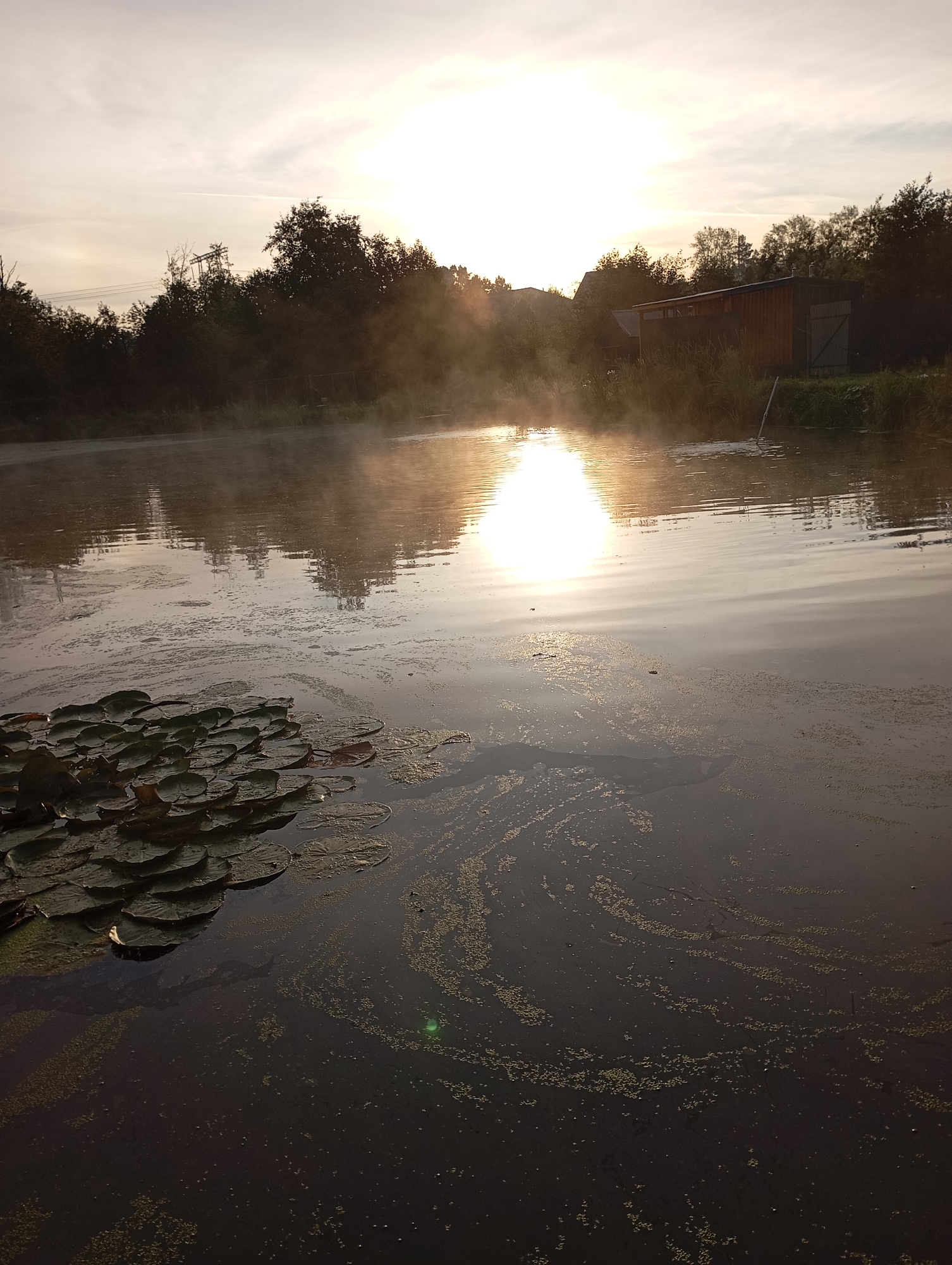 The image depicts a serene lake scene at sunrise, with the sun partially obscured by mist. Lily pads are visible in the foreground, floating on the dark water. Trees and a wooden building are situated on the distant shore. The sky is hazy, with a faint contrail visible. The scene is set in Malyi Bukor, Russia.
