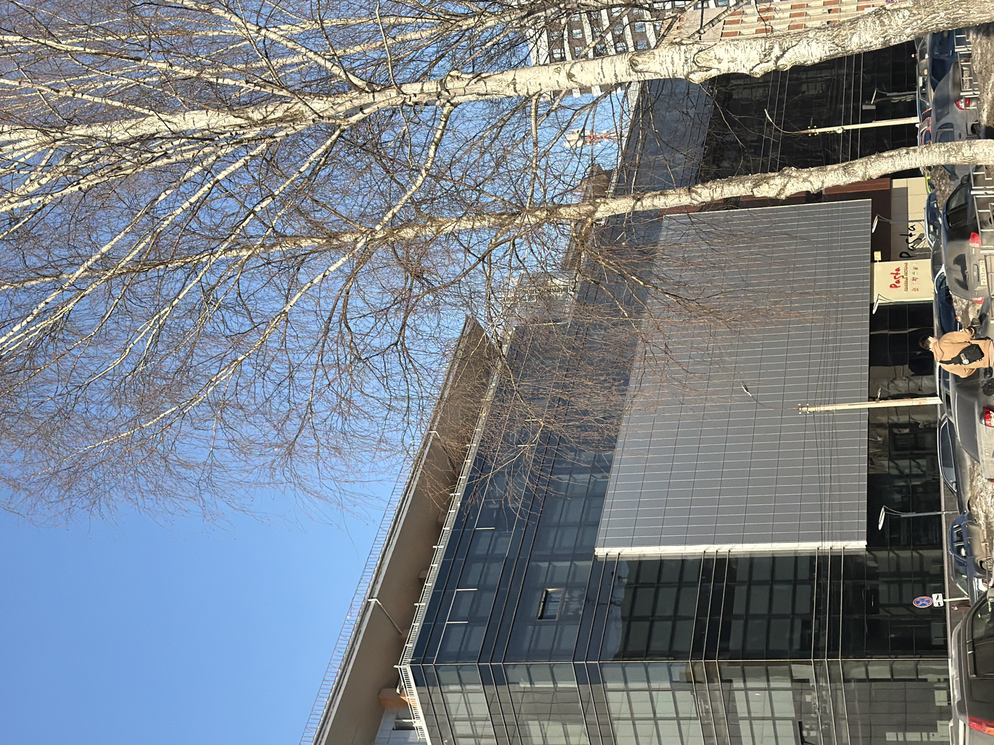 The image shows a modern building with a glass facade, partially obscured by the branches of a bare tree. The building has a combination of reflective glass and gray paneling. Cars are parked along the side of the building. A sign with the name "Pasta" can be seen. The sky is clear and blue. The location is likely in Izhevsk, Russia.