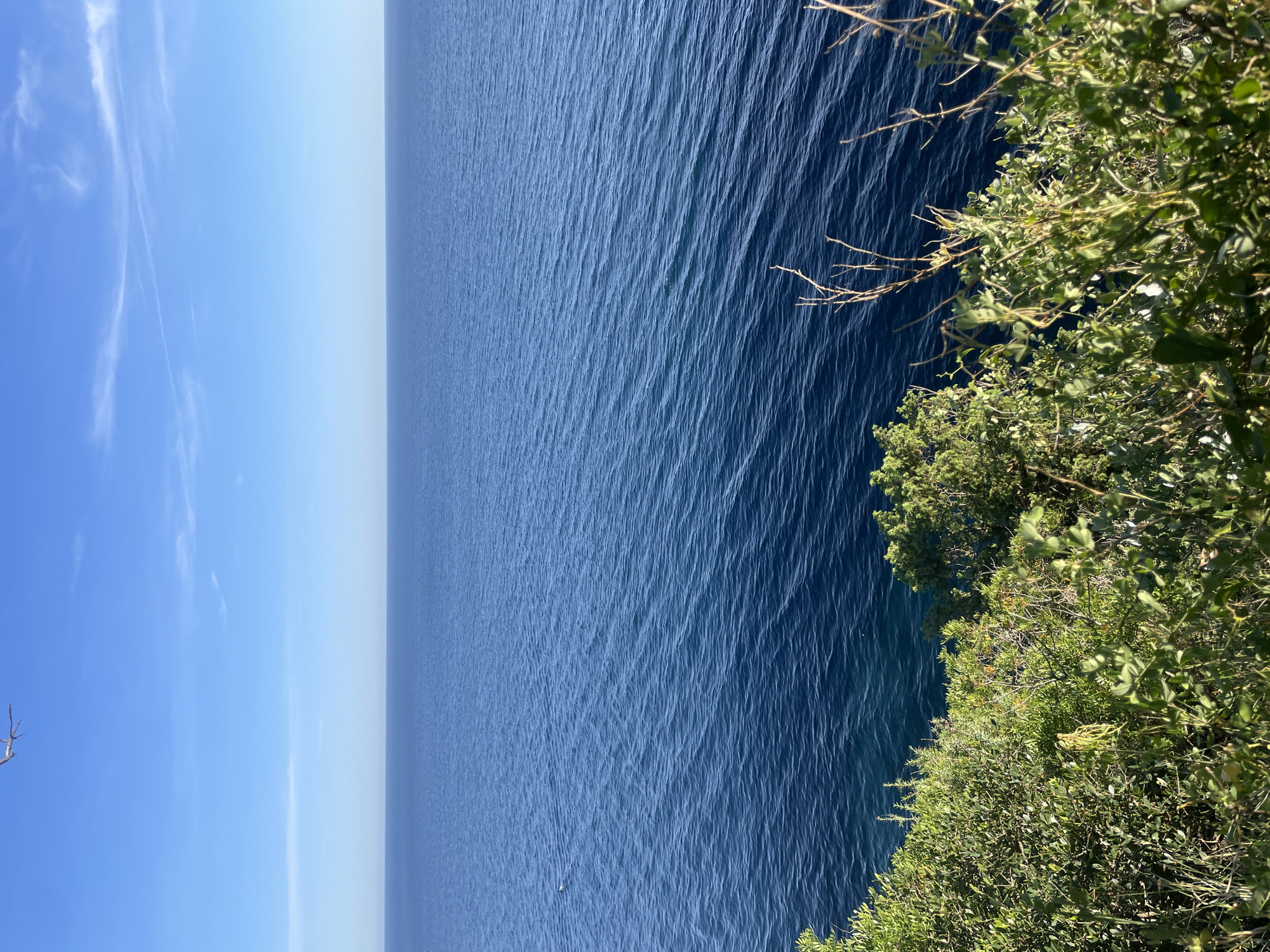 A vertical, eye-level photograph captures a scenic view in Budva, Montenegro. The scene is divided into thirds. The left third depicts a clear, light blue sky with wispy clouds near the top. The middle third features a dark blue sea, its surface rippled by gentle waves. A strip of light blue sky is visible on the horizon where the sea meets the sky. The right third showcases a steep cliff covered in lush green vegetation. The foliage consists of various shrubs and trees with small, dense leaves. A few bare branches protrude from the greenery, reaching towards the sea. The overall composition suggests a natural landscape where the rugged coastline meets the Adriatic Sea.