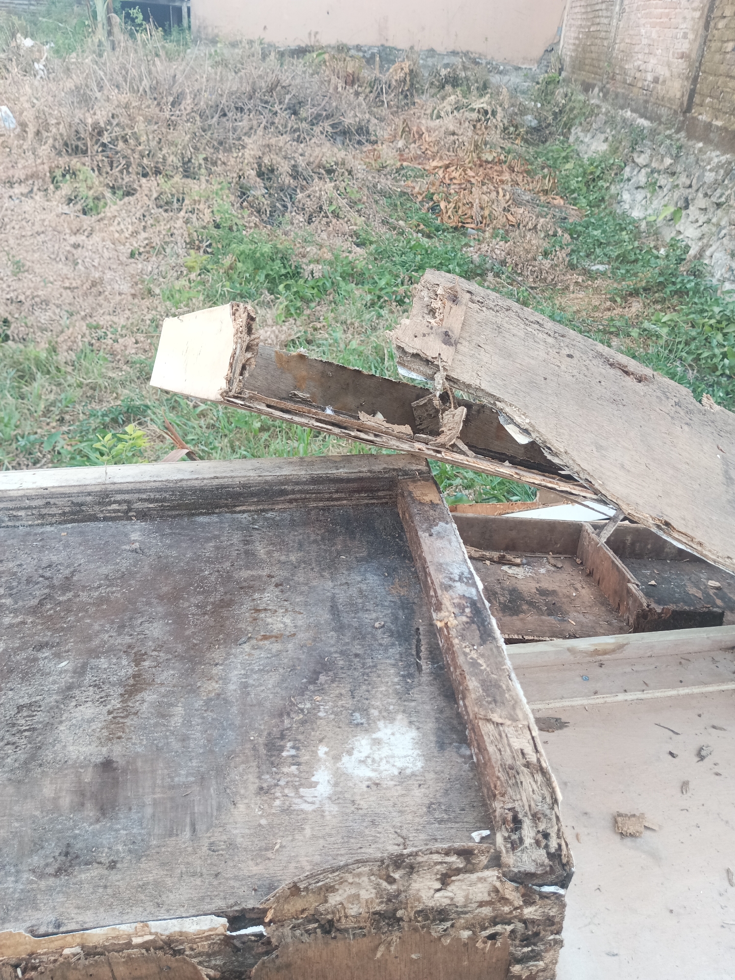 The image shows a close-up, overhead view of damaged wooden furniture, likely a desk or cabinet, outdoors. The wood is visibly rotten, splintered, and broken, with pieces of plywood detaching from a larger structure. The furniture appears to be located in an outdoor environment, possibly a backyard or overgrown area, with dry grass and some green vegetation visible in the background. A brick wall can also be seen in the upper right portion of the image. There are no people or animals present. The scene suggests disrepair and abandonment. The location is Pangkajene, Indonesia.
