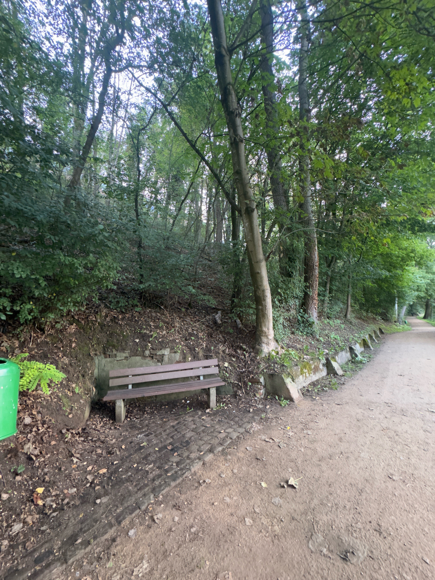 A wooden park bench with a brown seat and backrest is situated on a dirt path next to a sloped embankment covered in foliage and trees. The embankment is reinforced with a low concrete wall in places. To the left of the bench, a bright green trash can is visible amongst ferns and fallen leaves. The path continues to the right, leading into a wooded area with a canopy of green leaves overhead. The scene appears to be a public park in the city of Cleves, Germany, possibly along a walking trail.