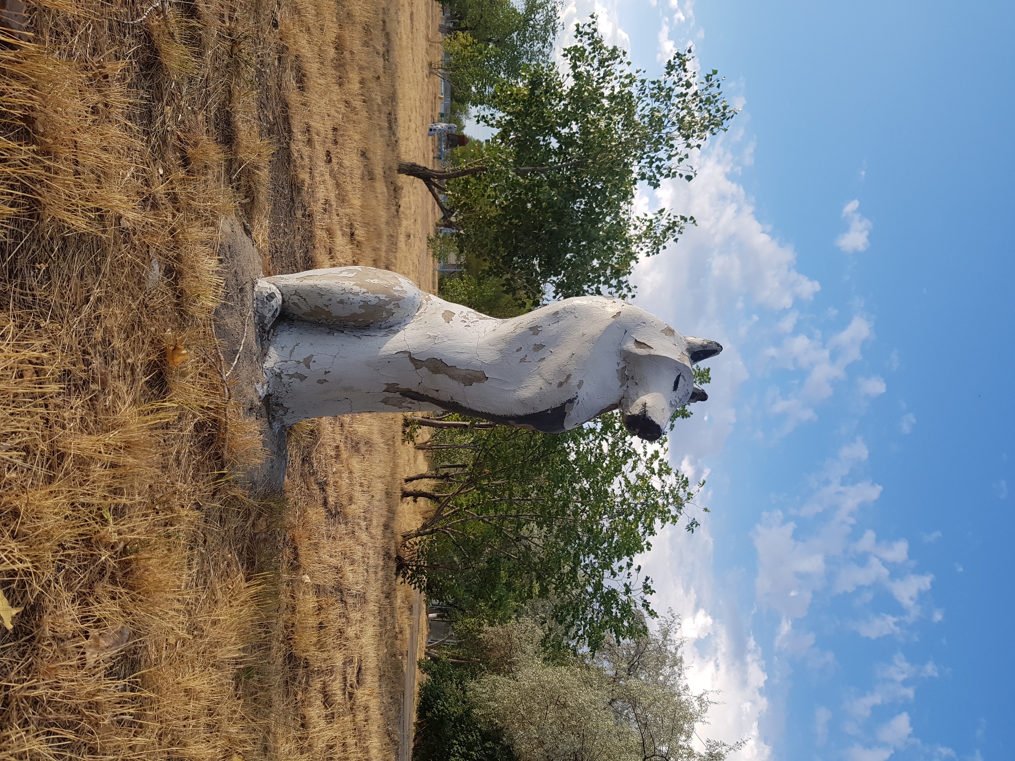 A weathered concrete statue of a wolf sits in a dry, grassy field under a partly cloudy blue sky. The statue is painted white with black accents around the face and ears. It is positioned in the foreground, facing to the right, with its head tilted upwards. Behind the statue, several trees with green foliage are scattered across the landscape. In the distance, other similar statues can be seen, suggesting this is a park or a public art installation. The ground is covered in dry, yellow grass, indicative of a warm climate. The scene appears to be located in the city of Kurchatov, Kazakhstan, known for its nuclear research facilities and surrounding steppe environment.