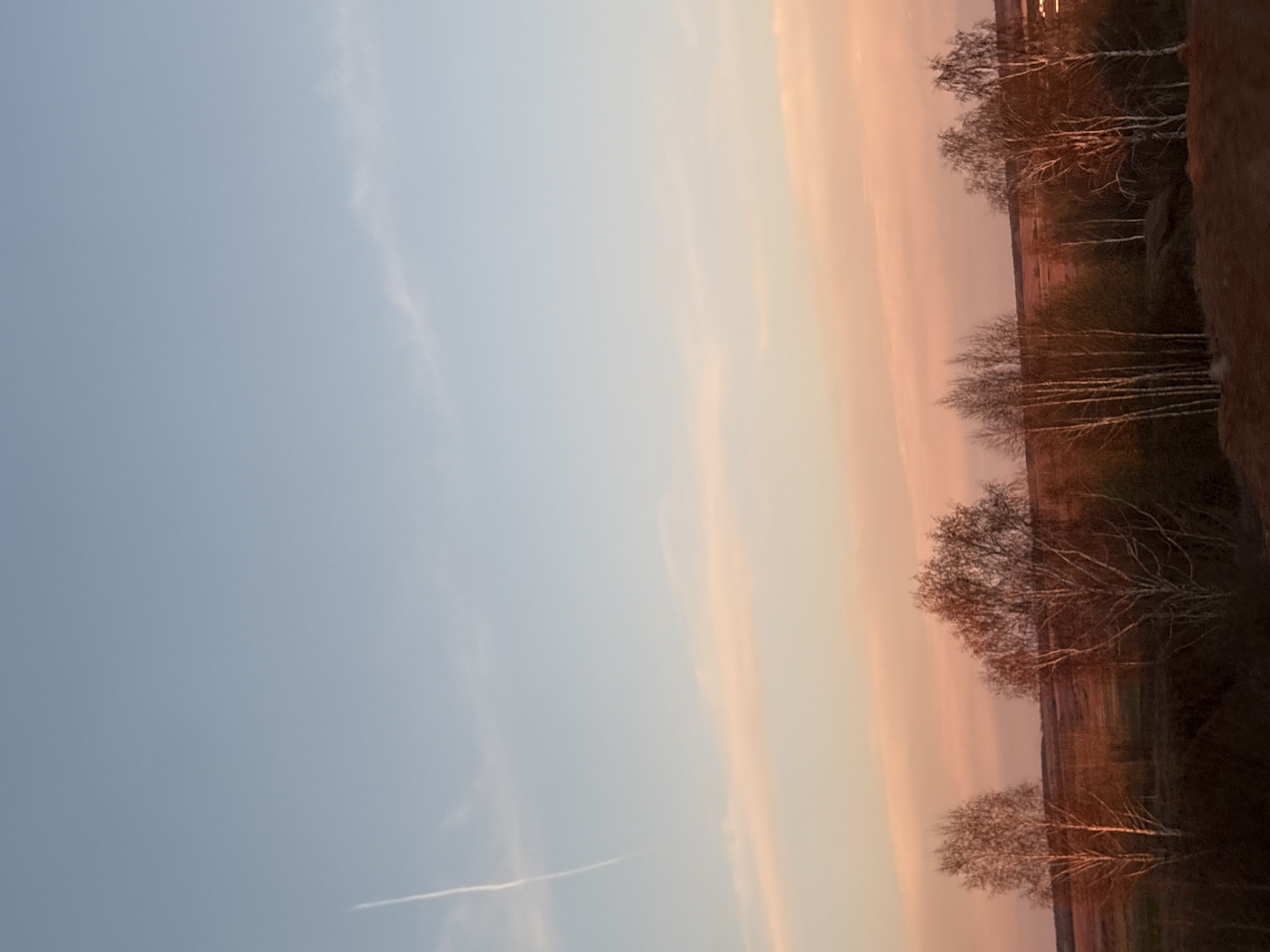 The image shows a landscape at Камаево, Russia. A clear, light blue sky occupies most of the frame. The right side of the image features a strip of land with trees, their bare branches silhouetted against a sunset sky. The sunset is composed of orange and pink hues, creating a gradient effect in the sky. The ground is dark, and the trees appear to be birch trees due to their distinctive white bark. A thin contrail of an airplane is visible in the light blue sky.