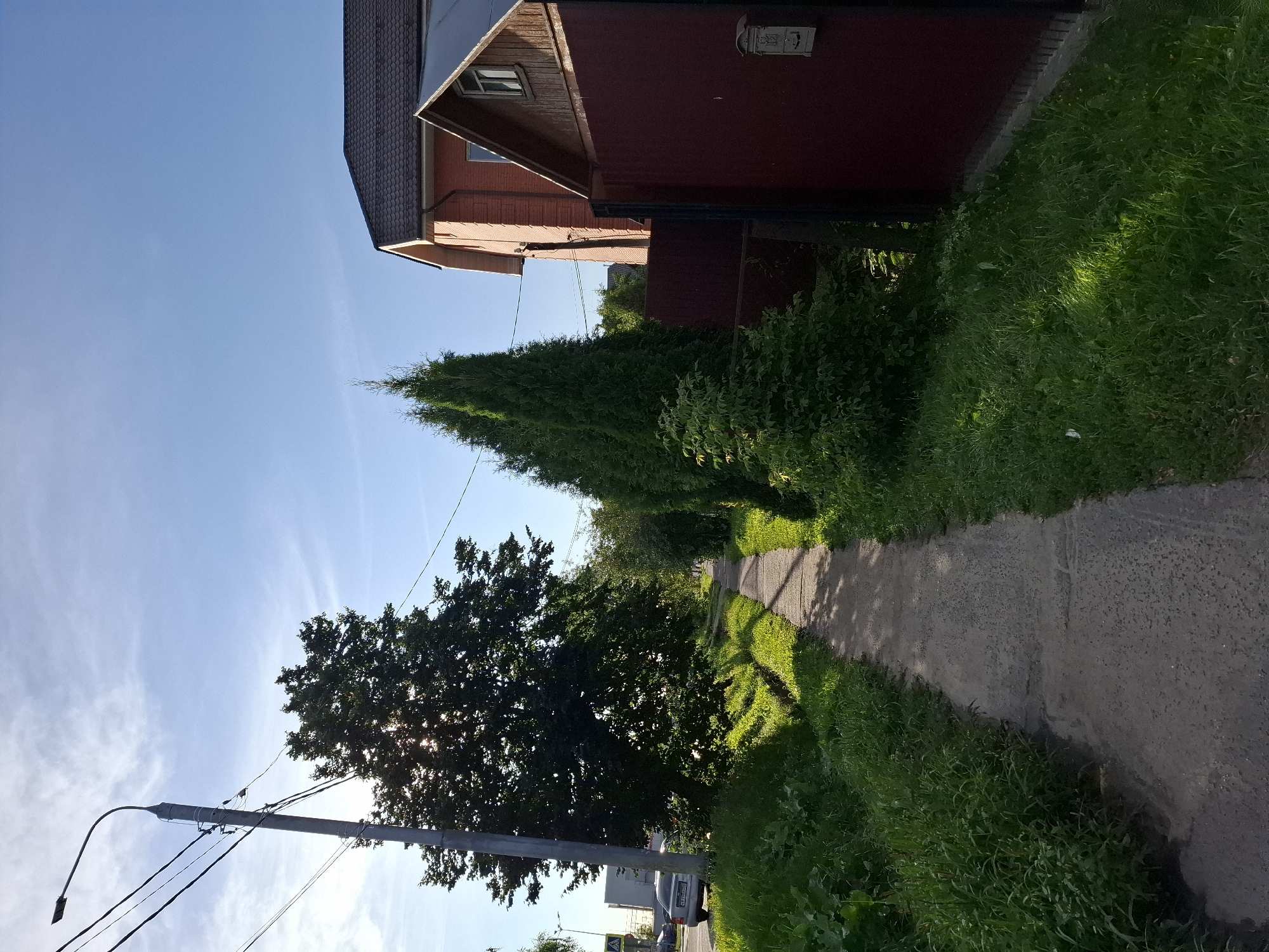 The image shows a paved sidewalk running alongside a grassy area. On the left side of the sidewalk, there is a large tree with sunlight filtering through its leaves and a street light with power lines. A silver car is parked on the street behind the tree, and a pedestrian crossing sign is visible. On the right side of the sidewalk, there are several tall evergreen trees and a dark red fence. Behind the fence, a brick house with a dark roof is partially visible, along with a wooden shed-like structure and a mailbox attached to the fence. The sky is clear and blue with wispy white clouds. The scene appears to be in a residential area on a sunny day.