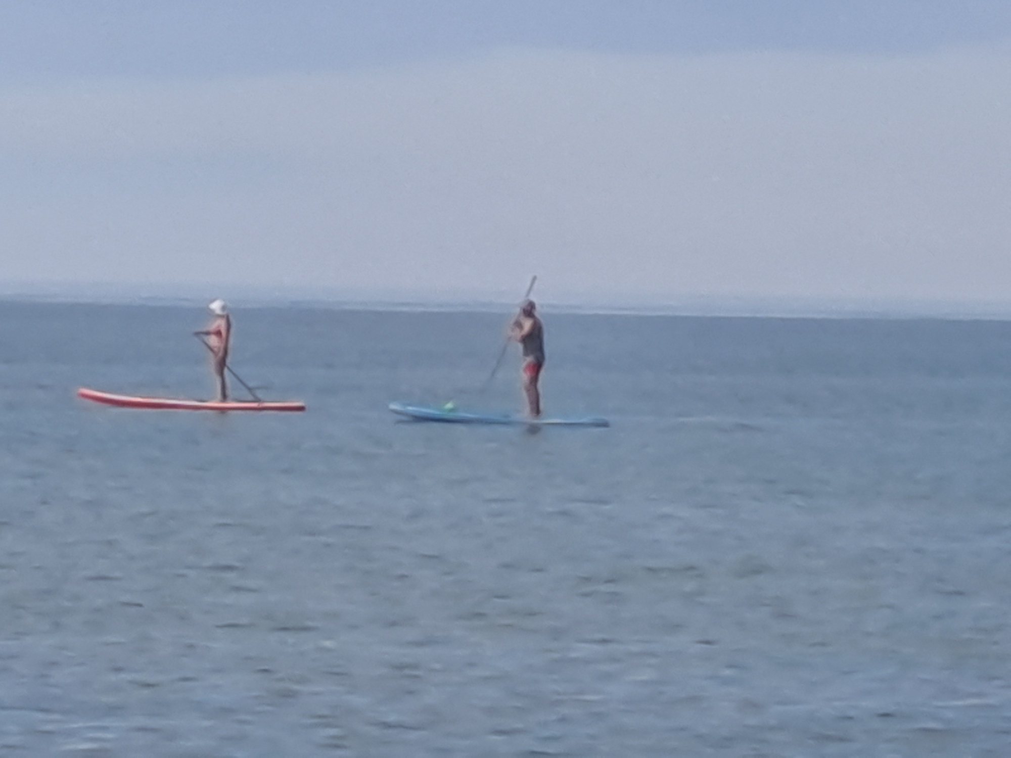 Two individuals are paddleboarding on a body of water, likely the Black Sea, near Dzhubga, Russia. The person on the left is standing on a red paddleboard, wearing a white hat and reddish swimwear. The person on the right is standing on a blue paddleboard, wearing dark swimwear and holding a paddle. The water is calm with small ripples. The sky is overcast and hazy, with a faint line separating the water and the sky. The overall scene suggests a recreational activity in an outdoor, coastal environment.