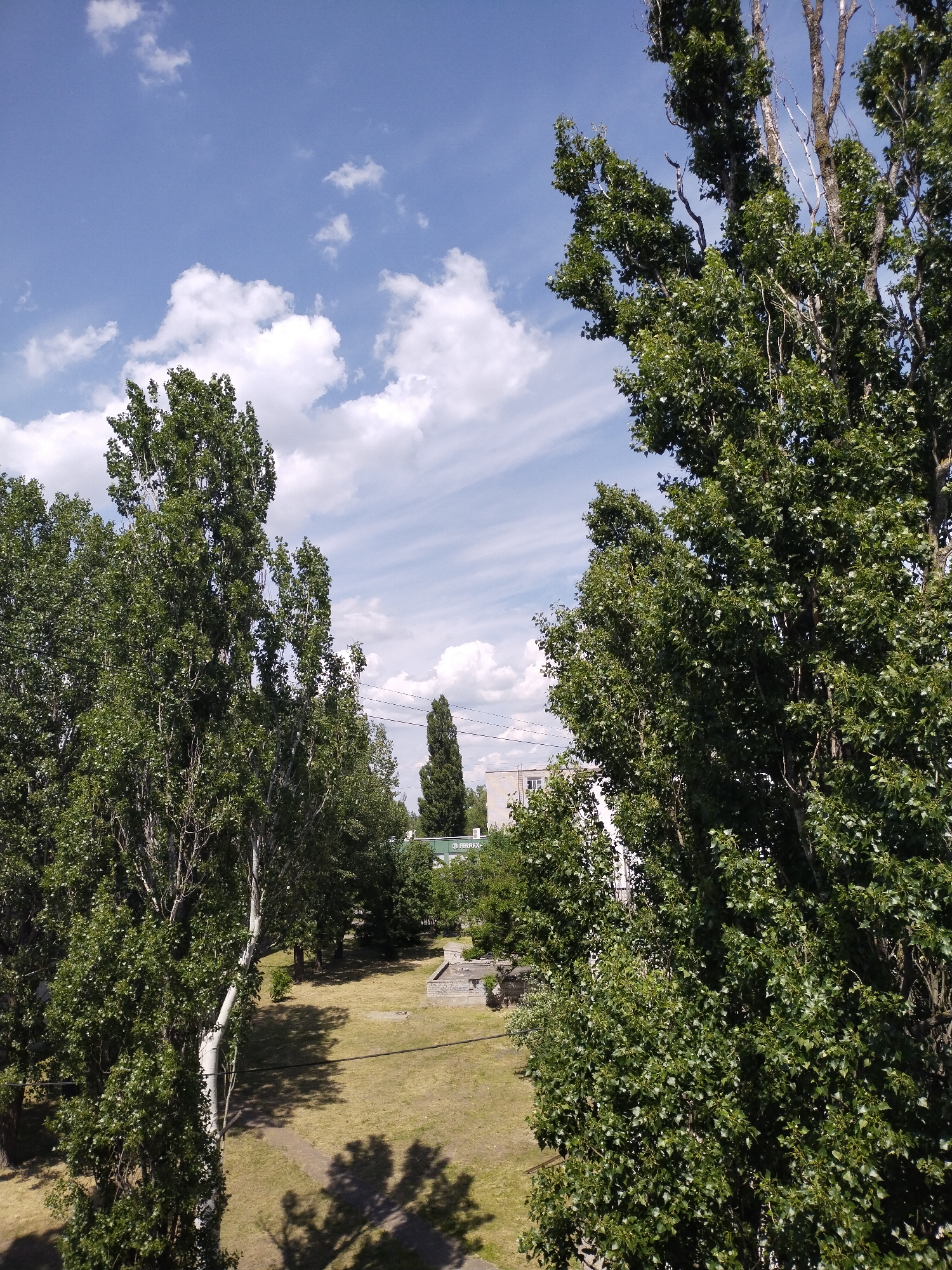 This image depicts an outdoor urban landscape under a clear blue sky with scattered white cumulus clouds, captured in the city of Horishni Plavni, Ukraine. The scene is dominated by numerous tall, leafy deciduous trees with vibrant green foliage, framing the view on the left and right. The tree on the far right exhibits some bare, light-colored branches amidst its leaves. In the midground, between the trees, a patch of dry, yellowish-green grass is visible, traversed by a narrow dirt path. Sharp shadows from the trees are cast across the grass. To the right of the path, two low-lying concrete or stone structures are present on the ground. Overhead utility lines span horizontally across the mid-lower section of the image. In the background, a light-colored, multi-story building with visible windows is partially obscured by trees on the left. To the right, a distinctive tall, slender columnar tree stands prominently, and further beyond it, a green building with an partially visible Cyrillic sign, possibly "ФЕДРЕНЕХ-", can be discerned. No individuals are present in the frame.
