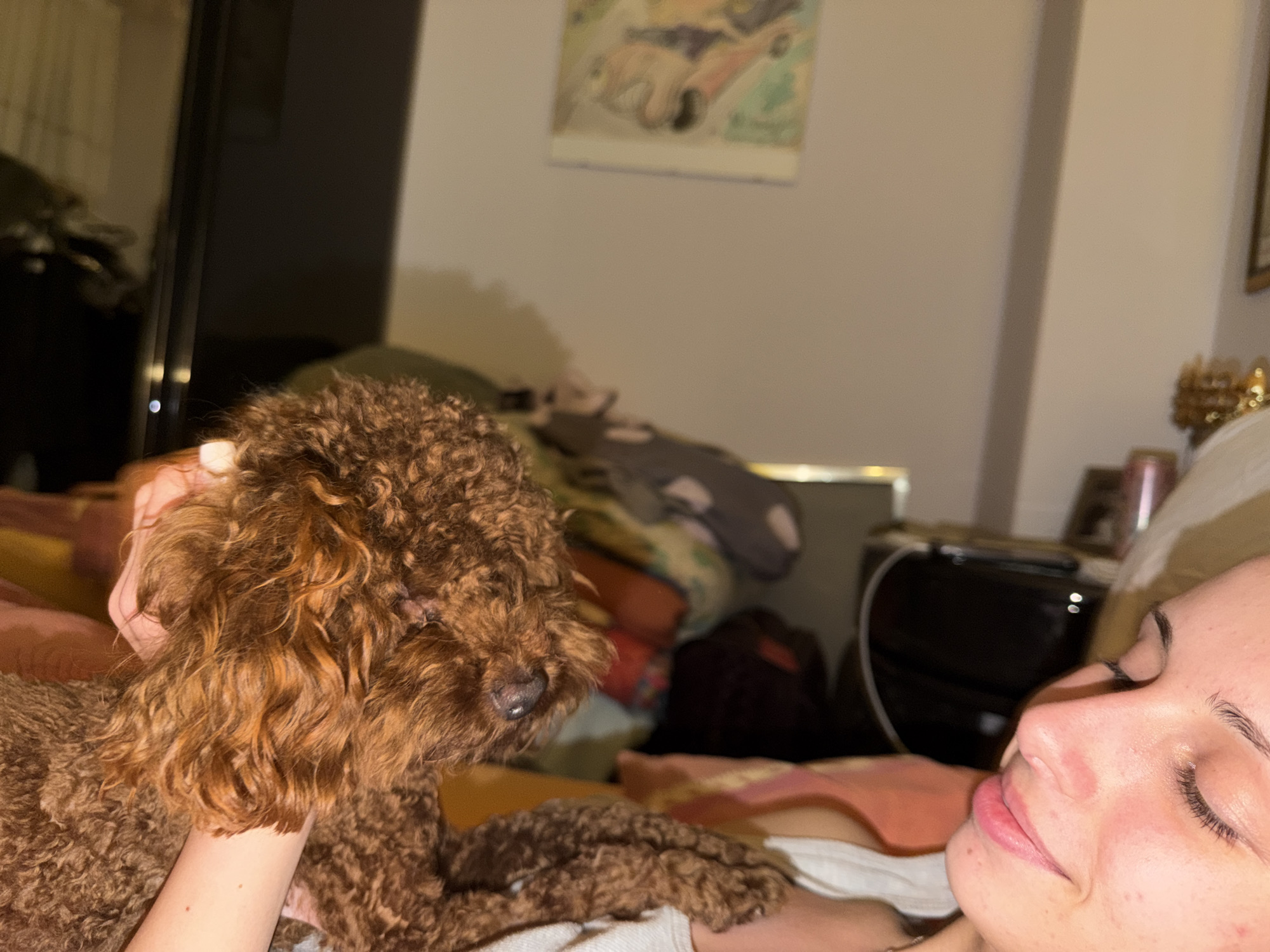 The scene depicts an interior setting, identified as being in Sofia, Bulgaria. In the left foreground, a reddish-brown, curly-haired canid, consistent with a Poodle-type dog, is positioned, facing slightly to the right. A human hand, originating from the lower left, is visible making contact with the dorsal aspect of the dog's head and neck area. The dog's dark nose is visible. In the right foreground, the right profile of a human face is partially visible with closed eyelids. The individual's left shoulder and upper arm are present, partially covered by white fabric. Both the dog and the human appear to be situated on a surface covered with bedding, which includes peach-toned and patterned fabrics. The background features a light-colored wall. A blurred, framed artwork with abstract shapes and muted colors (green, brown, orange) hangs on the upper central wall. To the right, an indistinct arrangement of objects, including a golden, textured decorative item, a pink cylindrical object, and a dark electronic device with a white cable, rests on a surface, likely a bedside table. A dark, reflective vertical object is present in the left background. The overall lighting is dim.