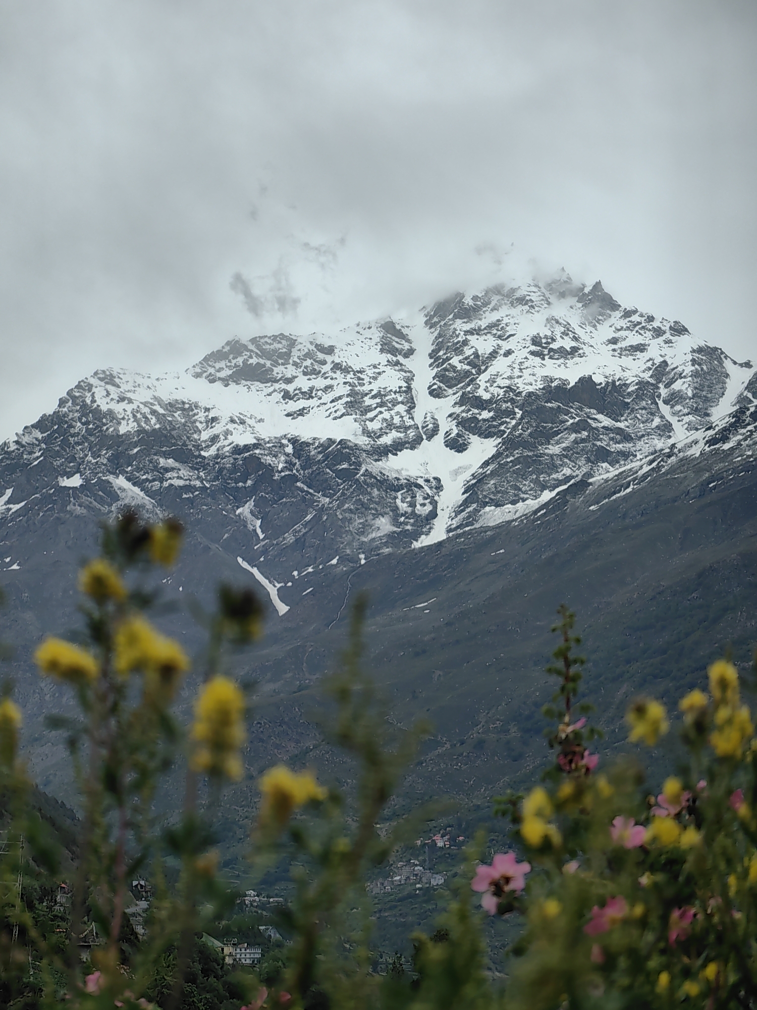 In the foreground, out-of-focus yellow and pink wildflowers are visible, with green foliage. Beyond the flowers, a village is nestled on a green, mountainous slope. In the background, a large, snow-capped mountain looms under a cloudy sky. The overall scene suggests a natural landscape with human settlement at the foot of the mountains, likely in a mountainous region of India, such as the city of Keylang.