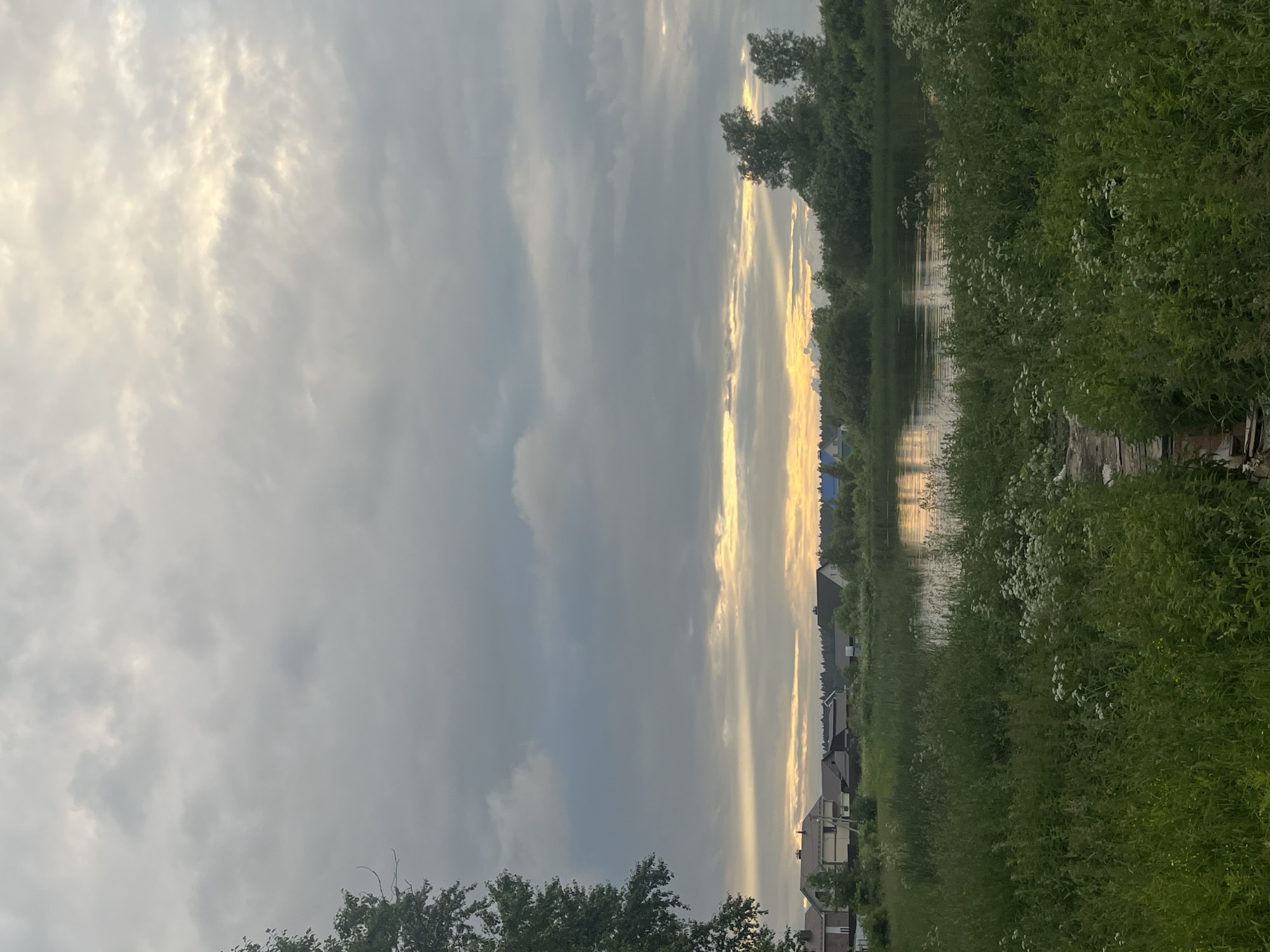 This is a vertical, landscape-oriented photograph taken outdoors in a rural setting, likely in Nikolskoye, Russia. The image appears to be captured during the late afternoon or early evening, as indicated by the soft, diffused sunlight breaking through overcast clouds.
The main subjects are the natural landscape and a small village. On the right side of the frame, dense green foliage, including tall grass and white wildflowers, lines the edge of a body of water. The water, reflecting the sky and trees, appears calm. Beyond the water, a line of houses with dark roofs is visible, suggesting a small settlement. Trees form a backdrop along the horizon. The sky is dominated by dramatic, grey clouds with streaks of bright yellow sunlight piercing through in the distance. The overall mood of the image is peaceful and somewhat serene, with a hint of the dramatic weather. There is no visible text in the image.