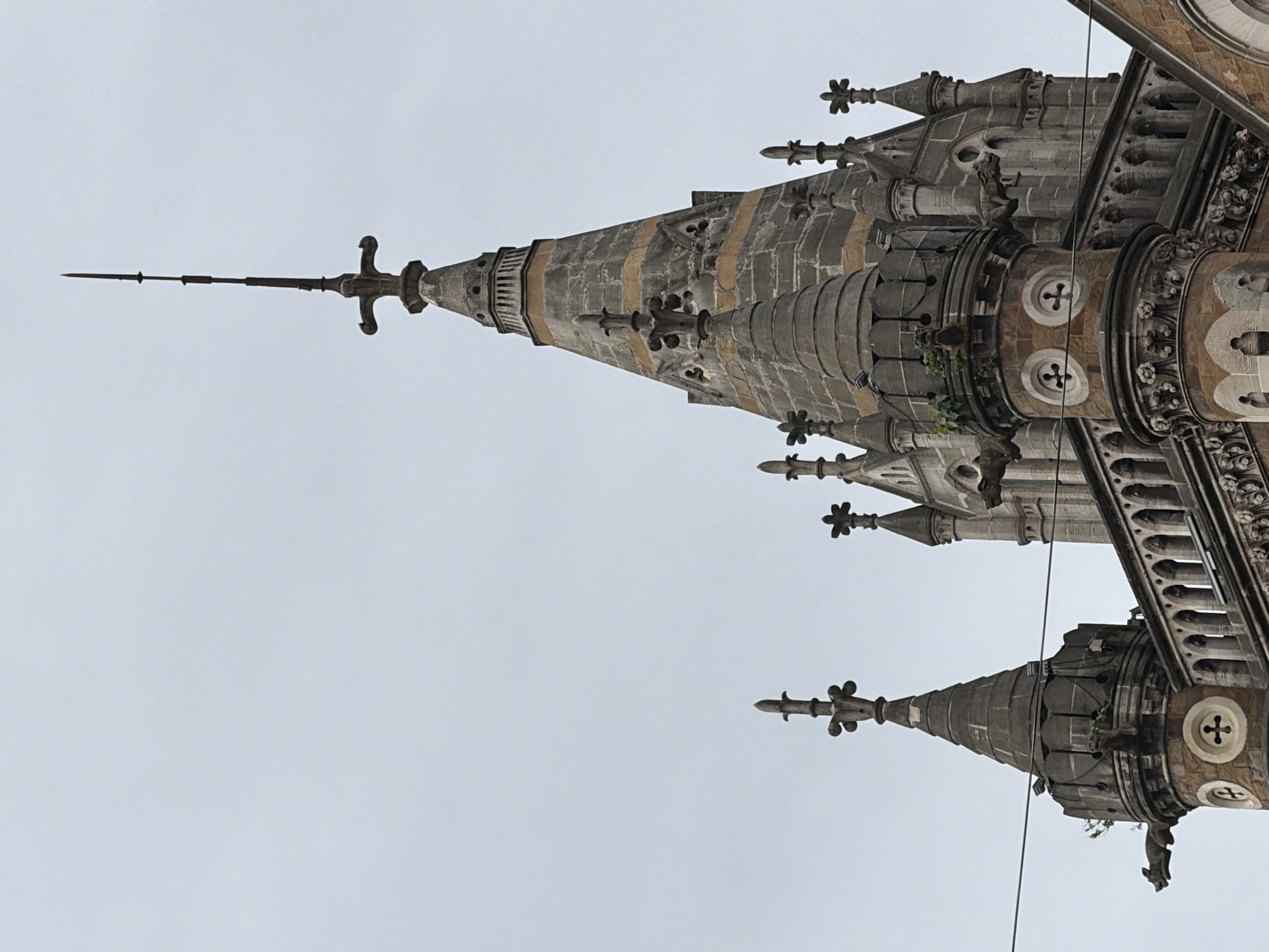 The image shows the ornate spires of the Chhatrapati Shivaji Maharaj Terminus (CSMT) in Mumbai, India. The gothic-style architecture features multiple pointed towers topped with finials, intricate stone carvings, and decorative banding on the main spire. Gargoyles are visible on the sides of some of the towers. The sky above is overcast and a thin wire runs across the foreground. There are no people visible in the image. The building's facade is constructed from stone and brick, with arched windows and decorative railings.