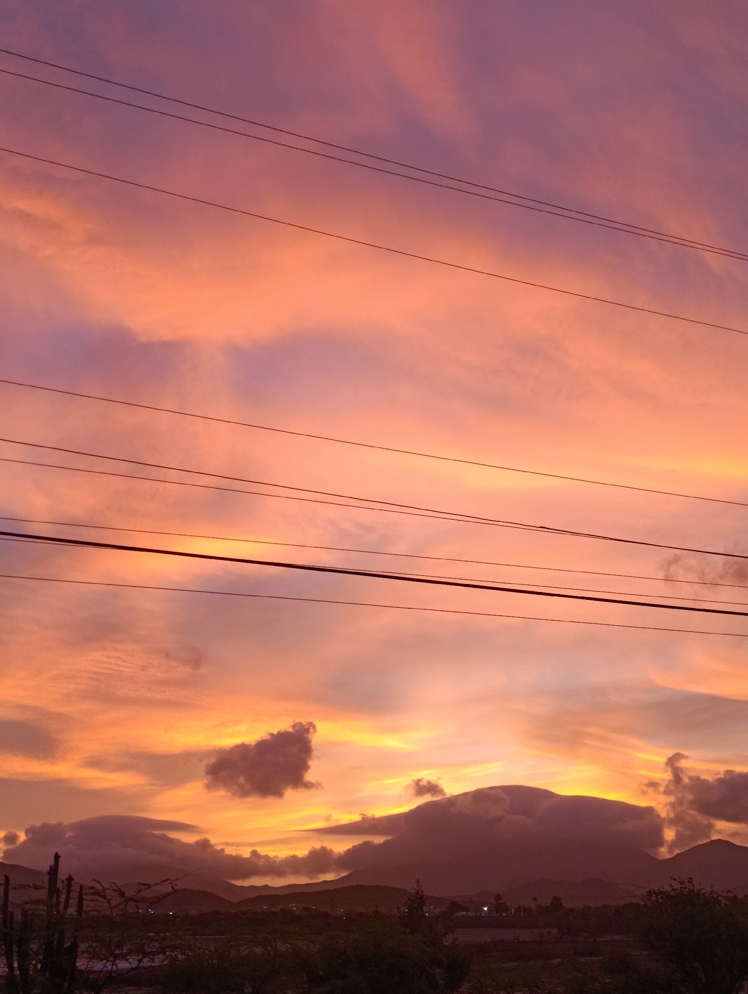 The image captures a sunset scene, likely in Juan Griego, Venezuela, given the presence of mountains and vegetation consistent with the region. A series of black power lines cut across the upper two-thirds of the frame. The sky exhibits a blend of orange, yellow, and purple hues, indicative of the setting sun. Clouds are scattered throughout the sky, with some darker formations near the horizon partially obscuring the mountain range. The foreground features silhouette vegetation, possibly cacti, and shrubs, against the backdrop of a townscape with faint lights suggesting residential areas.