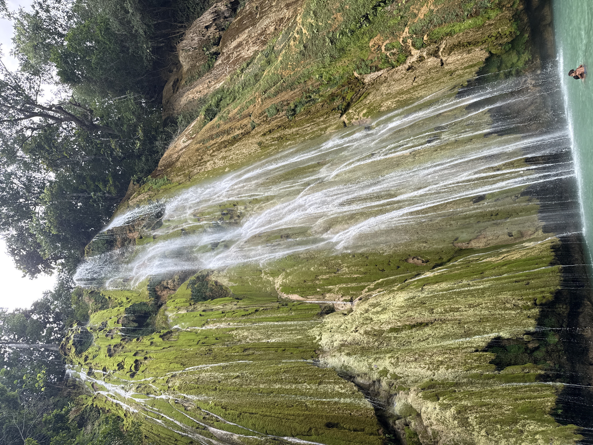 The image depicts the El Limón waterfall in Samaná, Dominican Republic. A large, multi-tiered waterfall cascades down a moss-covered rocky cliff face. Lush green vegetation surrounds the top of the waterfall, with dense trees forming a canopy overhead. The water flows in numerous thin streams down the textured rock, creating a shimmering effect. At the base of the waterfall, a pool of turquoise water is visible. Two individuals are in the water, partially submerged, with their bodies close together, suggesting they are interacting. One appears to be embracing the other from behind. The water is clear enough to see the sandy bottom in some areas. The overall scene is one of natural beauty and outdoor recreation.