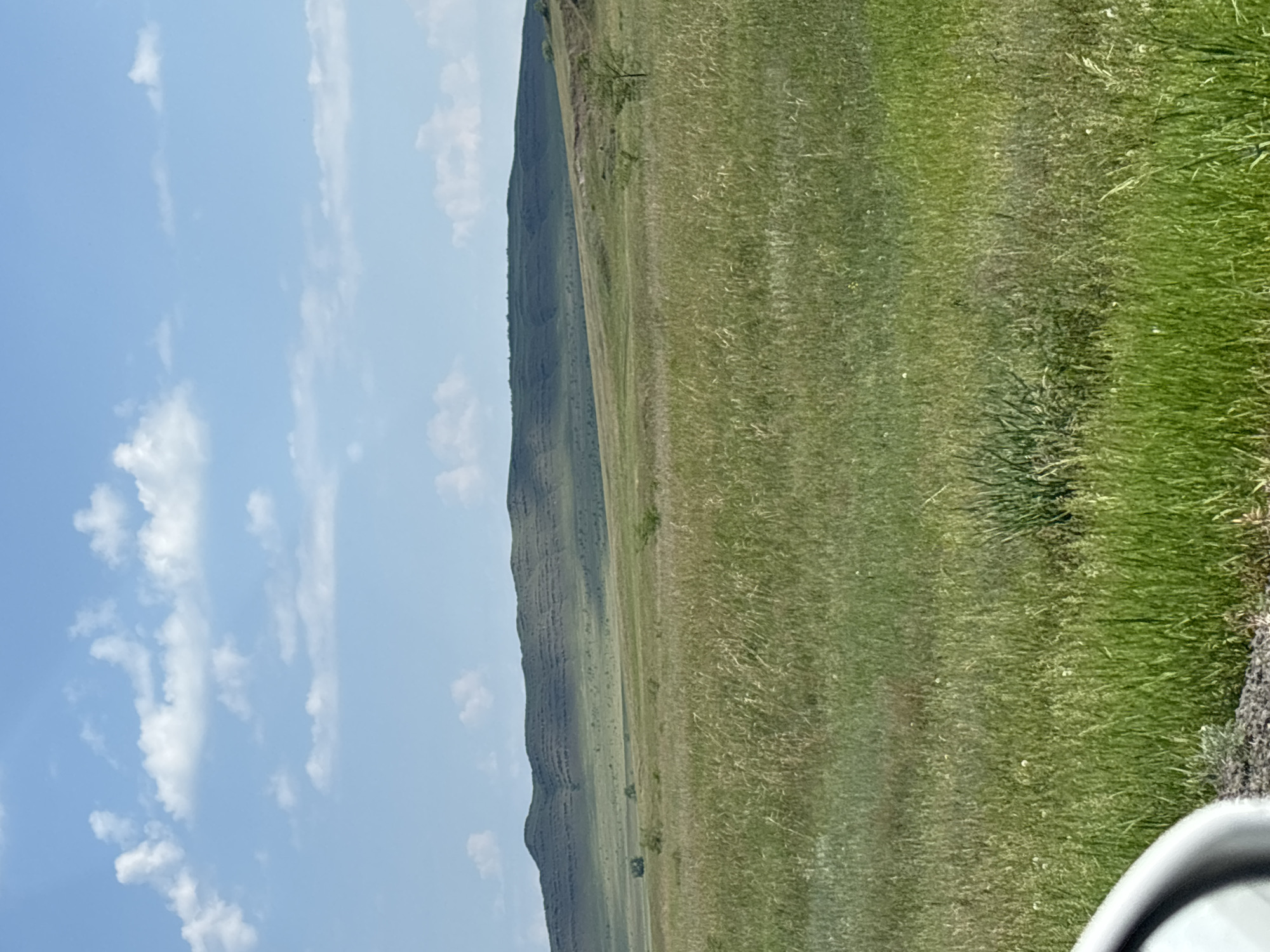 An outdoor, eye-level, wide shot captures a vast, rolling grassland under a bright blue sky dotted with fluffy white clouds. The foreground is dominated by tall, green grass with some dry stalks interspersed, creating a textured surface. In the mid-ground, the landscape continues to be covered in grass, with a few small, scattered trees and shrubs visible. A gentle slope rises towards the background, where a long, low mountain range stretches across the horizon. The mountain's surface appears layered and rugged, with distinct horizontal lines suggesting geological formations. The scene is peaceful and natural, evoking a sense of open space and rural tranquility. The image was taken in the city of Borodino, Russia.