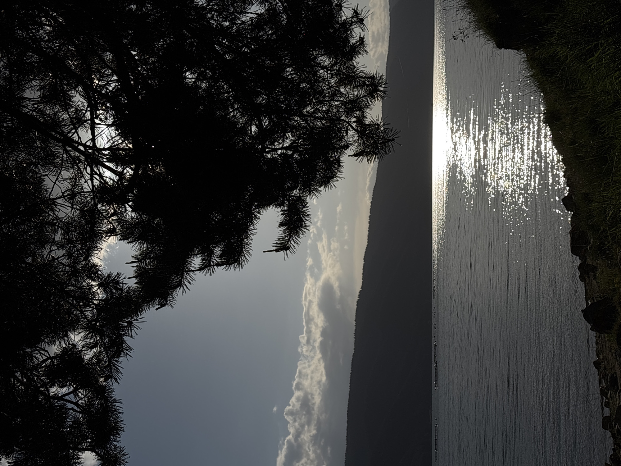 The image shows a landscape. The foreground consists of the dark silhouette of a coniferous tree, its branches filling the left side of the frame. The middle ground features a body of water, its surface reflecting sunlight with bright glimmers and sparkles. The edge of the water meets a grassy bank on the right. In the background, a hazy mountain range is visible under a partly cloudy sky. The location is Unknown, Unknown.