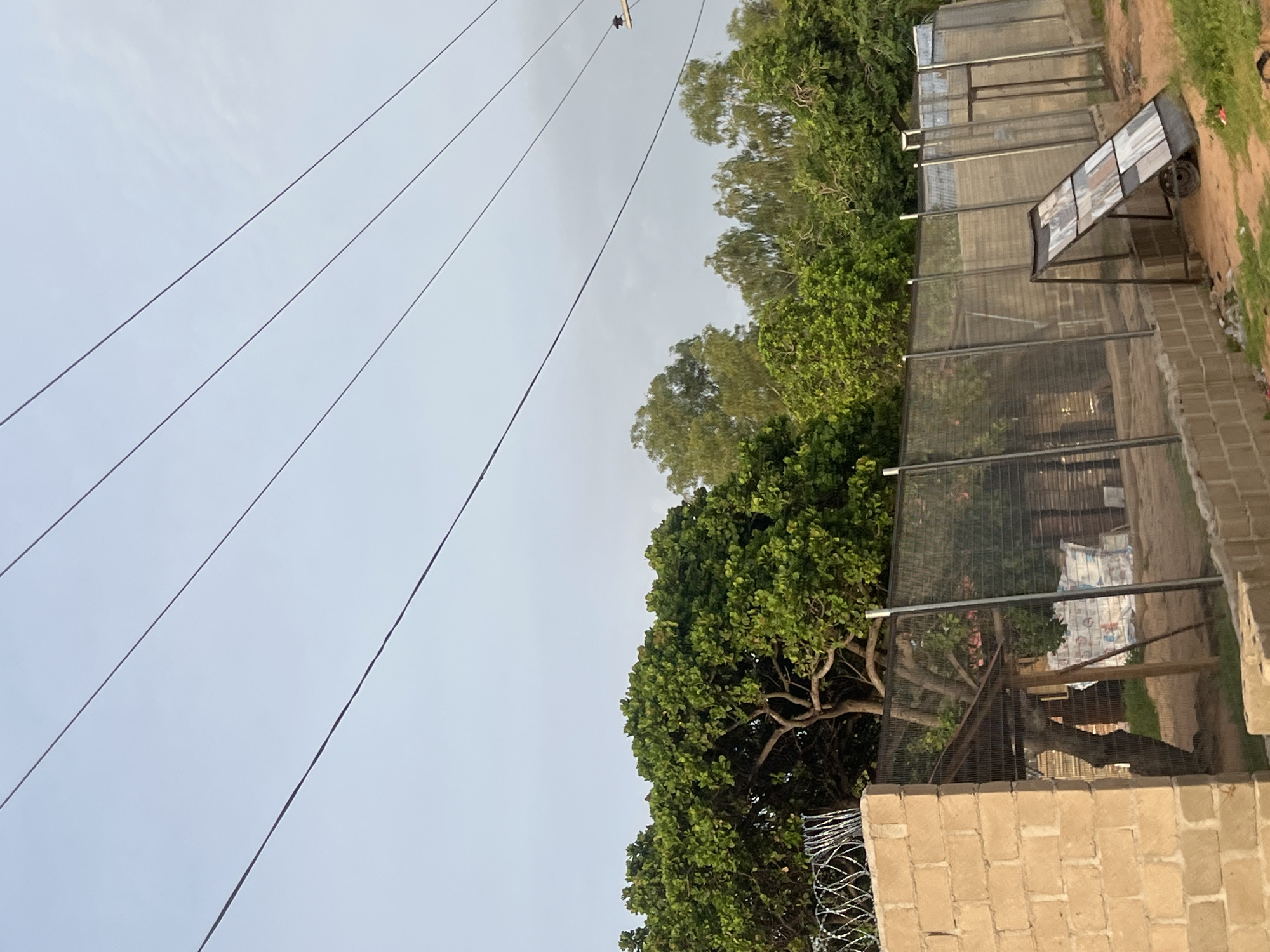 The image, taken in Kporva, Nigeria, shows an outdoor scene dominated by a series of interconnected mesh enclosures or cages. These enclosures are constructed with wire mesh walls and supported by metal frames. Some cages are situated atop cinder block walls. Green trees and foliage grow both near and within the enclosures.
In the background, more trees are visible along with overhead power lines stretching across a cloudy sky. In one area, a small metal cart with what appear to be tiles is partially visible. The ground within and around the enclosures appears to be dirt or soil. Barbed wire runs along the top of one of the walls.