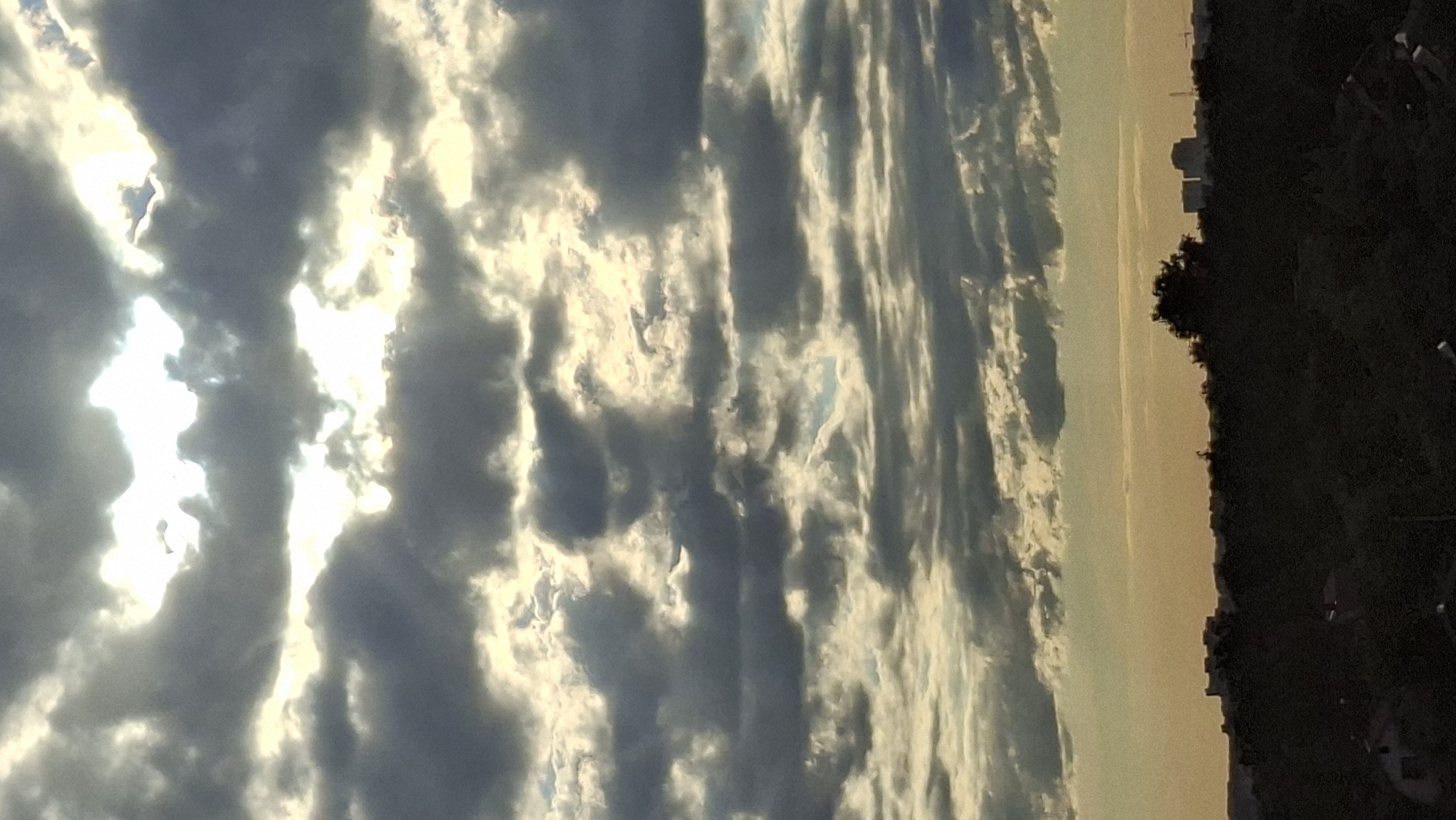 This is a vertical, low-angle photograph taken from Vidnoye, Russia, depicting a dramatic sky during what appears to be either sunrise or sunset. The sky is filled with dense, dark clouds interspersed with bright patches of sunlight breaking through, creating a sense of an impending storm or a clearing after rain. The light has a warm, golden hue.
To the right of the frame, the silhouette of a tree and a distant treeline is visible against the lighter sky, suggesting a semi-rural or suburban landscape. Further to the right and occupying the majority of the right side of the image is a dark, silhouetted area which appears to be a dense cluster of trees or possibly a dark building with some faint lights suggesting it is nighttime. In the far distance, on the horizon between the sky and the dark silhouette, a faint outline of buildings can be discerned, possibly indicating a town or city.
The overall mood is somewhat moody and atmospheric due to the dramatic lighting and cloud formations. No people or specific objects are clearly identifiable. The time of day is indicated by the quality of light and cloud cover, suggesting twilight hours. There is no visible text in the image.