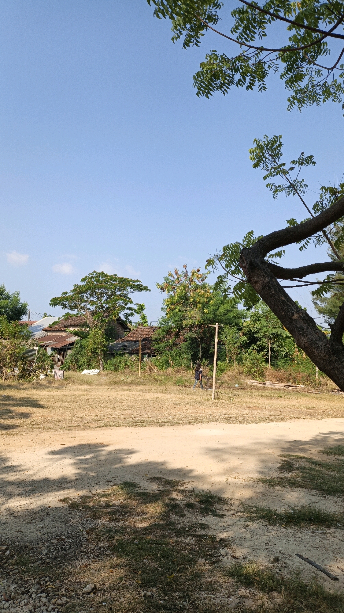This is a photograph taken in Cikal, Indonesia, depicting an outdoor scene with a focus on a grassy field and surrounding vegetation. The sky is clear and blue, with the tops of trees and branches visible in the foreground and upper portion of the image. The ground in the foreground is a mix of dry grass, gravel, and dirt, with shadows of trees cast across it. In the middle ground, there is a person, likely a child, walking on the dirt path. Beyond the path, there are several structures that appear to be houses with tiled roofs, surrounded by dense green foliage. The overall impression is one of a rural or semi-rural environment.