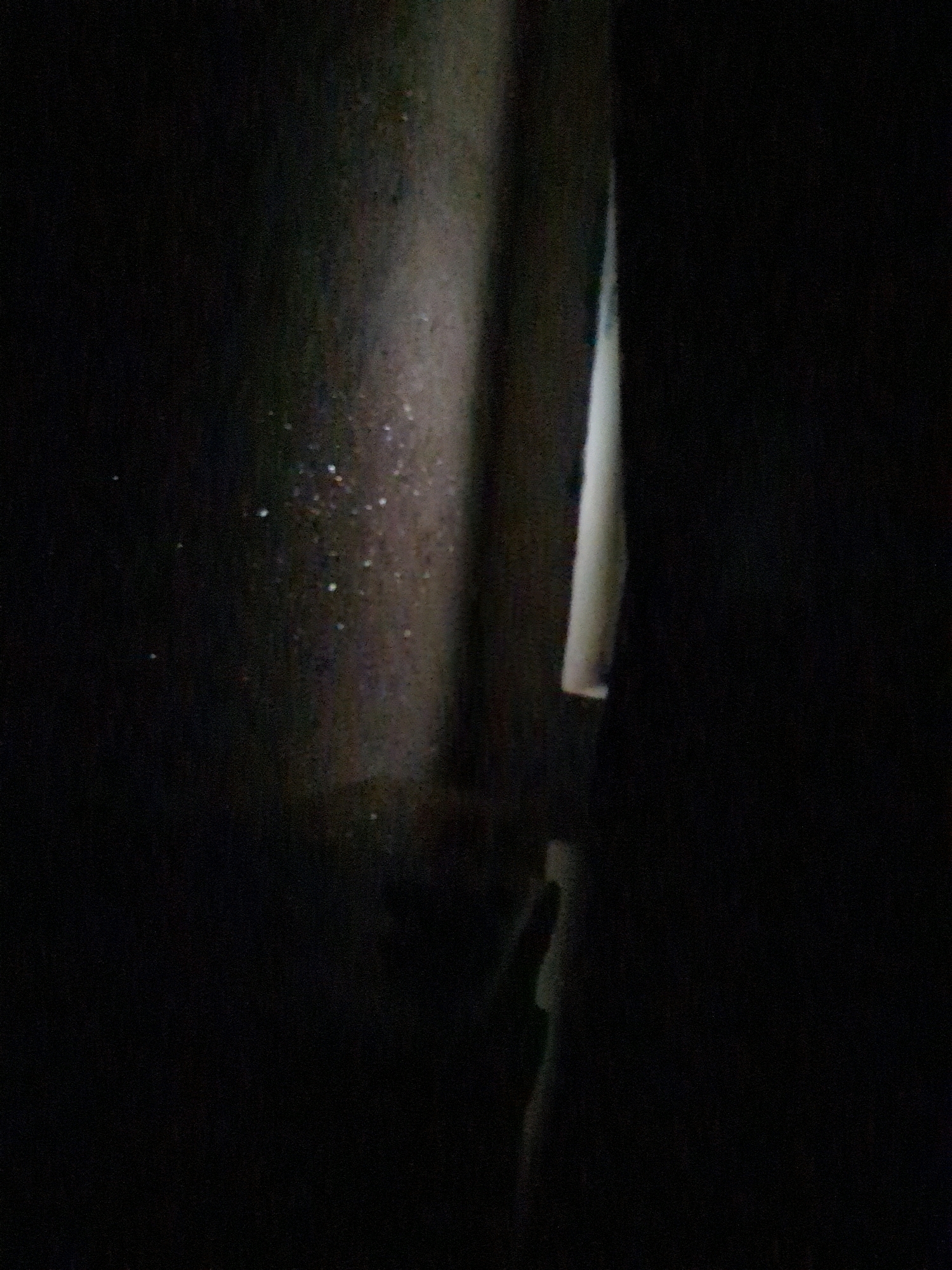 The image is a close-up, low-light photograph of a vertical, cylindrical object. The object appears to be textured and possibly made of a rough material. There are numerous small, reflective specks scattered across its surface, particularly in the upper and central portions. To the right of this object, there is a sharply defined, lighter colored area with a pointed top, suggesting an edge or a thin projection. The rest of the image is predominantly dark, with some softer, diffused light sources hinted at in the background. The overall impression is abstract and textural. No specific location within Metropolitan Corporation Rawalpindi, Pakistan can be determined from this image.