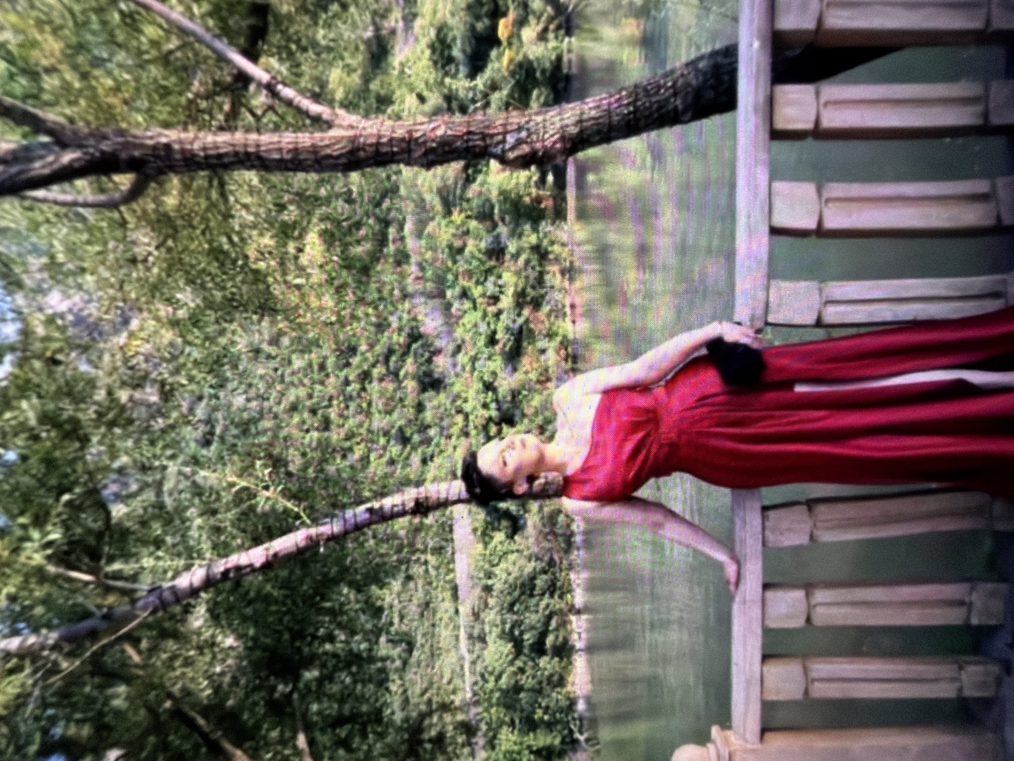 A woman in a red dress stands on a wooden bridge. She is holding a black purse. Behind her are green trees. The scene appears to be in Central Park, New York City.