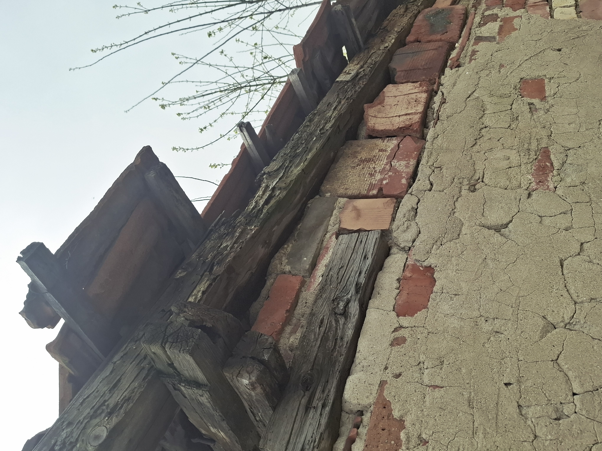 The image shows a low-angle, close-up view of the junction between a building's roof and an exterior wall. The roof structure is composed of terracotta tiles supported by aged, weathered wooden beams. The beams are dark gray and appear to be heavily textured with age and wear. The wall is made of red bricks, partially covered by a cracked, beige-colored plaster or stucco coating. Sections of the brick are visible through the damaged plaster. In the upper left corner, bare tree branches with small green buds reach into the light blue sky. The location and time are unknown.