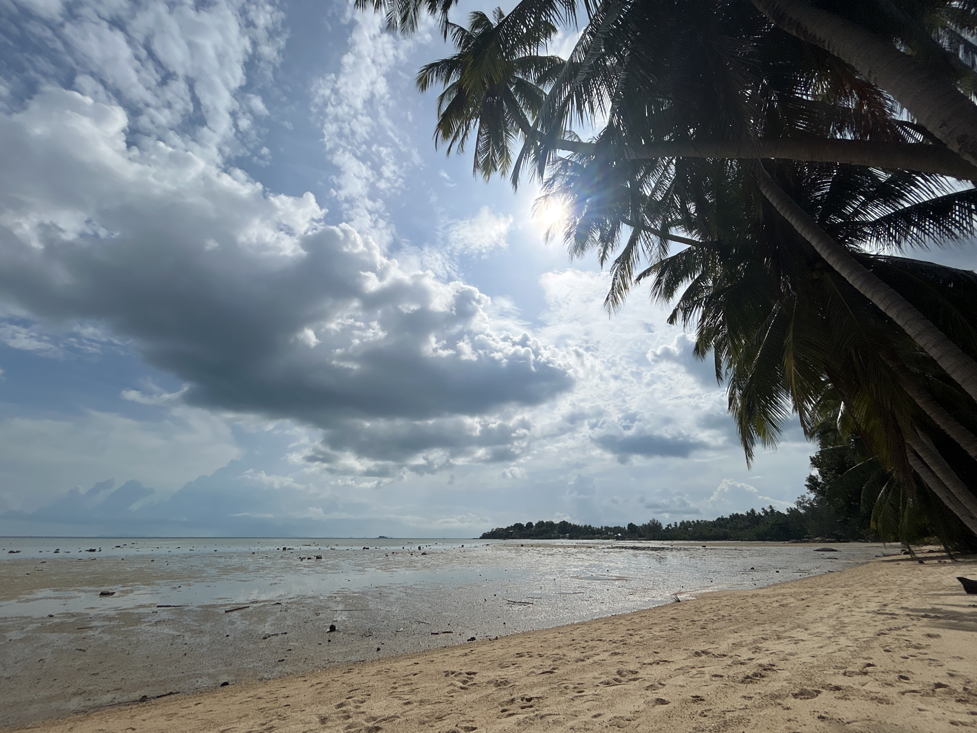 The photograph depicts a beach scene in Baan Sri Thanu, Thailand. The foreground is a sandy beach with a few small rocks. The tide is low, revealing a large expanse of mudflat in the midground. The sea is calm with some visible clouds in the sky. The sun is shining brightly. Palm trees frame the right side of the image, casting shadows on the beach. In the distance, there appears to be an island or peninsula covered with trees. No people are visible in the photograph.
