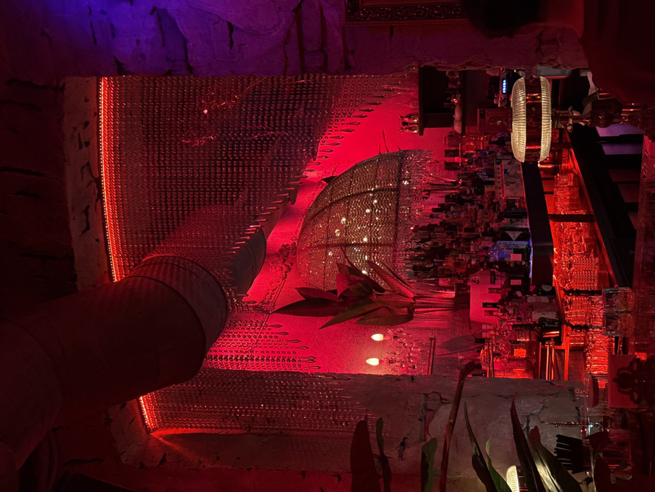 An abstract interior scene bathed in red and purple light, with a focus on texture and reflective surfaces. A large cylindrical pipe extends into the lower left. A shimmering, grid-like wall suggests a mirrored or metallic surface. A cage-like structure with interior lights sits above foliage. The right side reveals a more detailed architectural element, potentially a bar or display, with reflective glasses and sharp angles. Overall, the scene is mysterious and otherworldly.